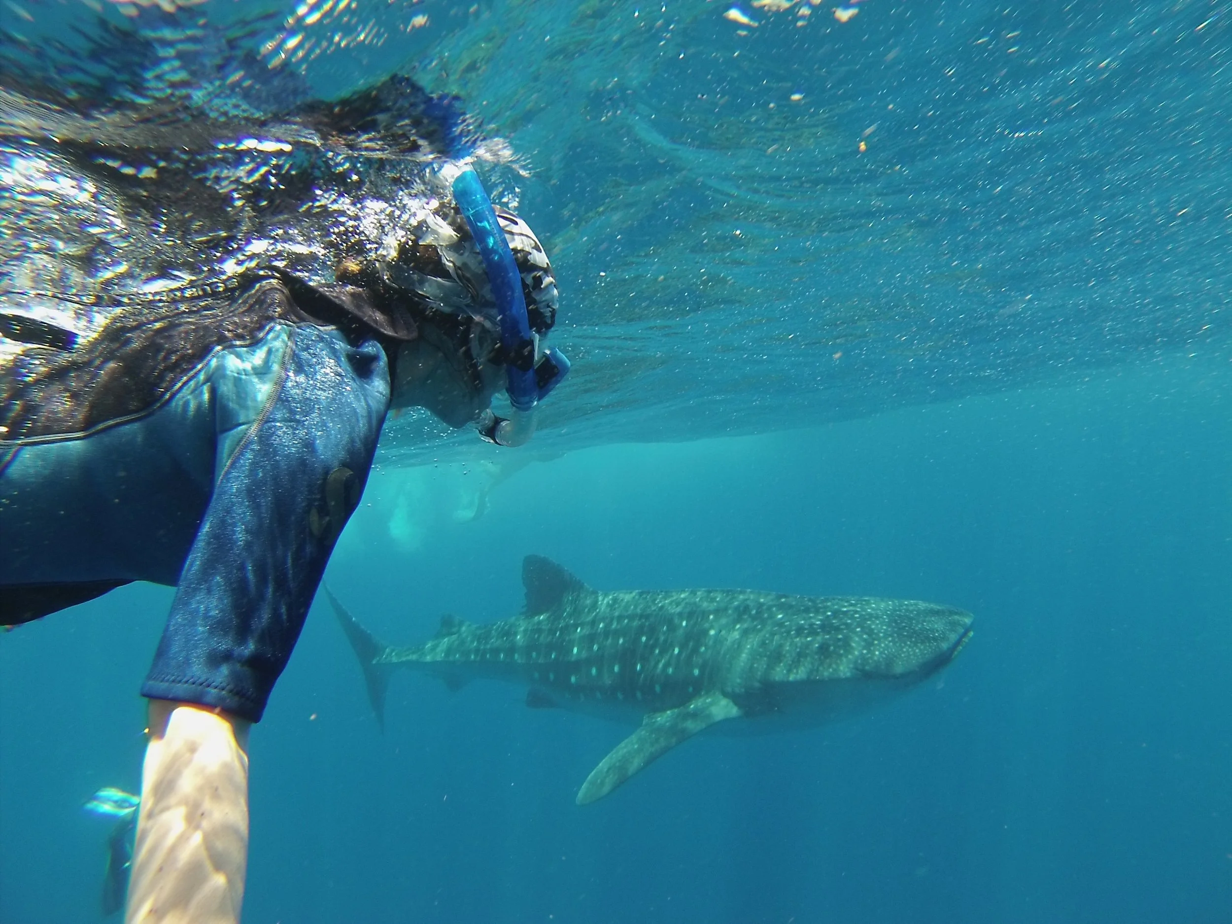 Freediving - Chantal