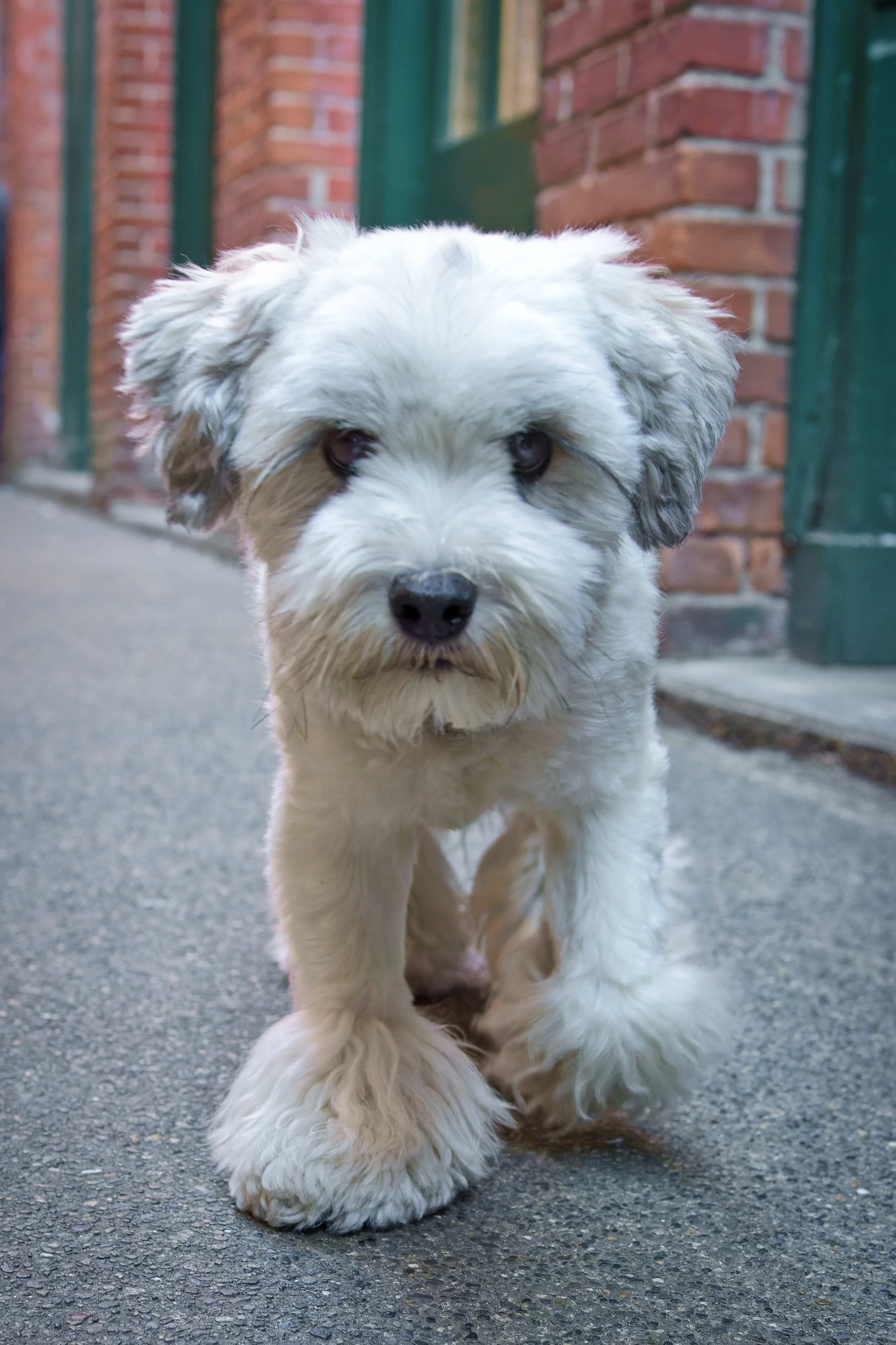DSC02222-ARW_DxO_DeepPRIME-1.jpg
