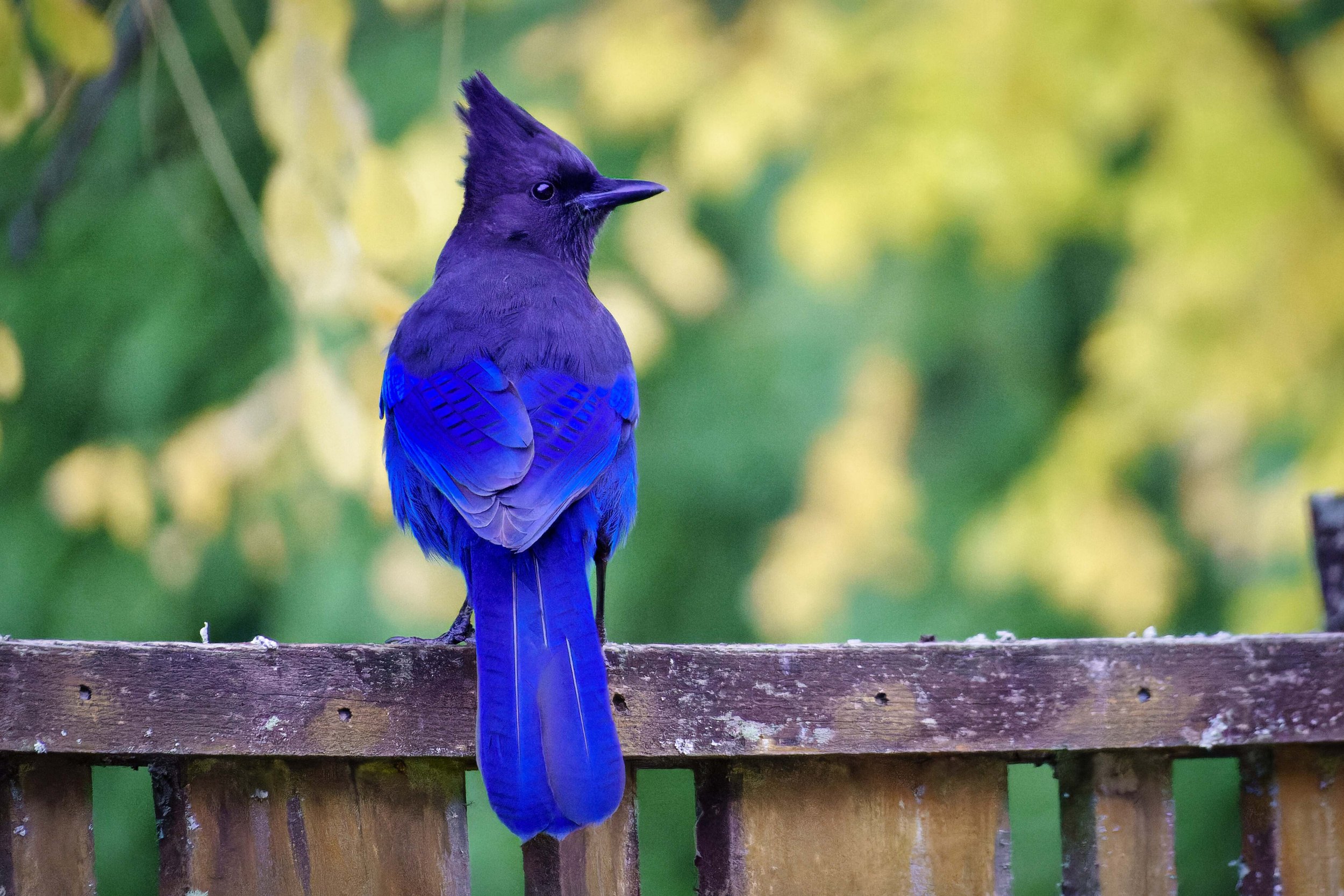 DSC02436-1-ARW_DxO_DeepPRIME.jpg