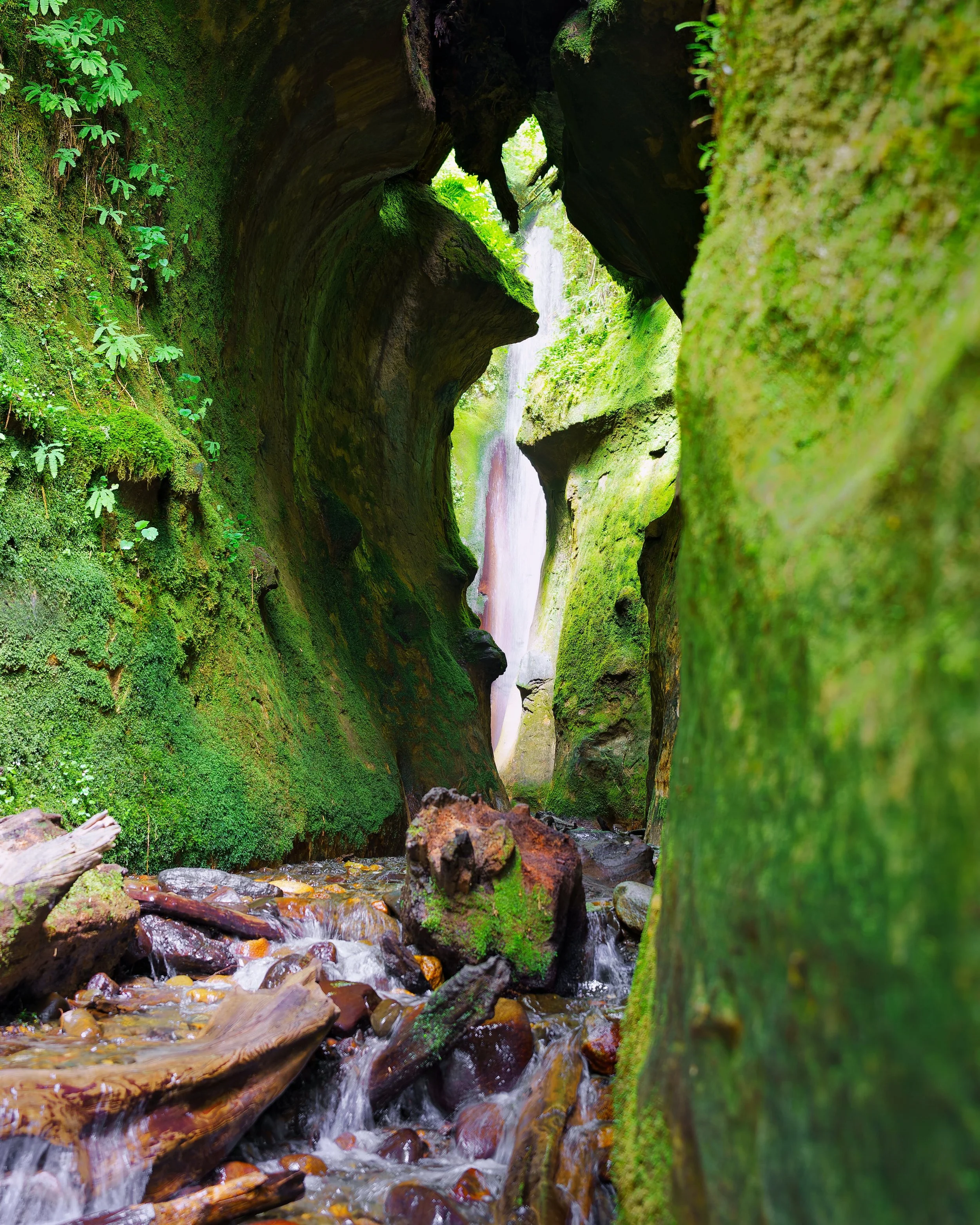 DSC01307-CHUTE_DeepPRIME.jpg
