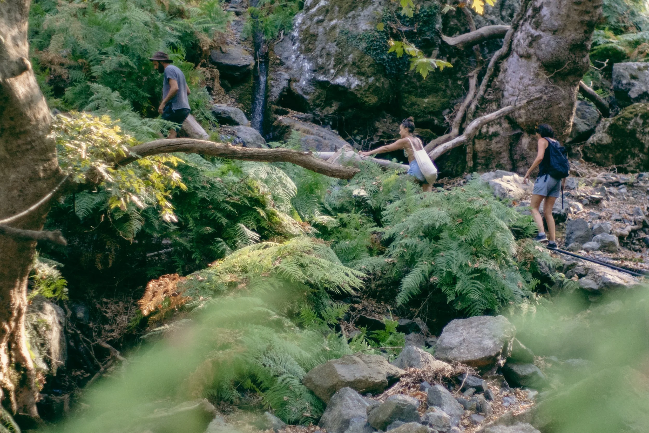 holyground-02718.jpg