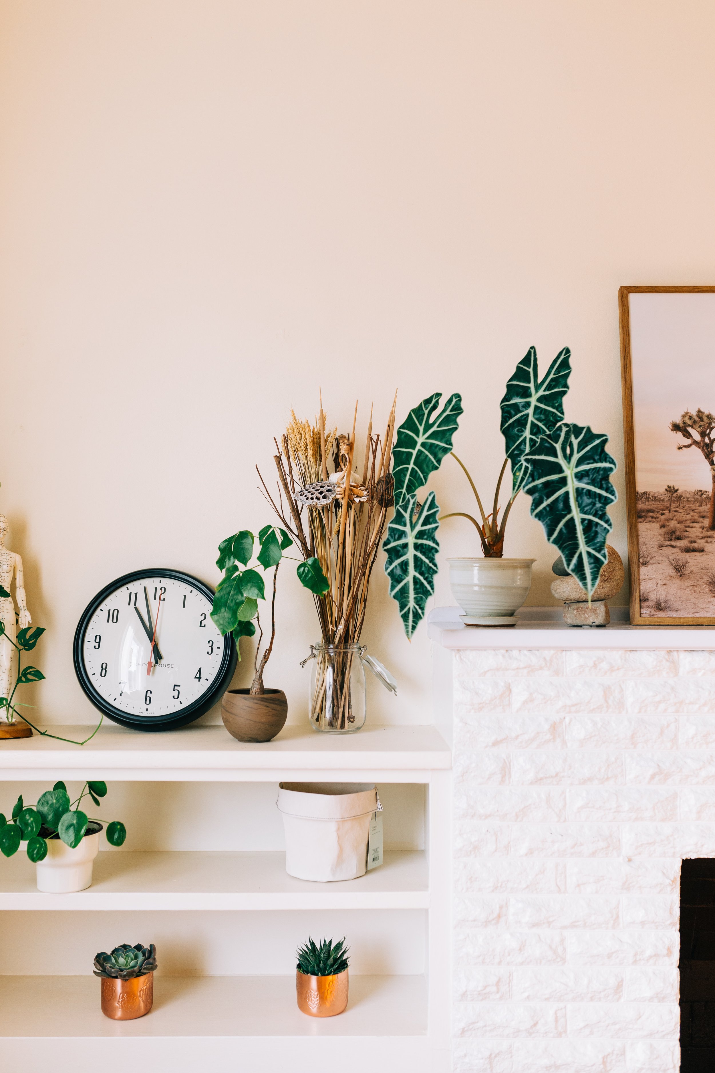 A white fireplace mantel featuring a round wall clock, potted plants, dried flowers in a jar, and decorative art on the wall. The mantel and adjacent shelving display various houseplants in different containers, creating a cozy and natural aesthetic.