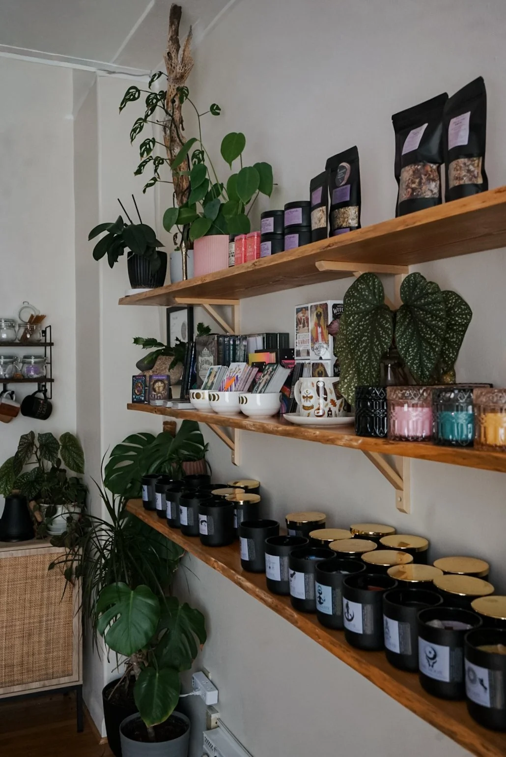 Wooden shelves on a wall holding various spices, candles, and decorative items, with plants placed on the shelves and nearby surfaces.