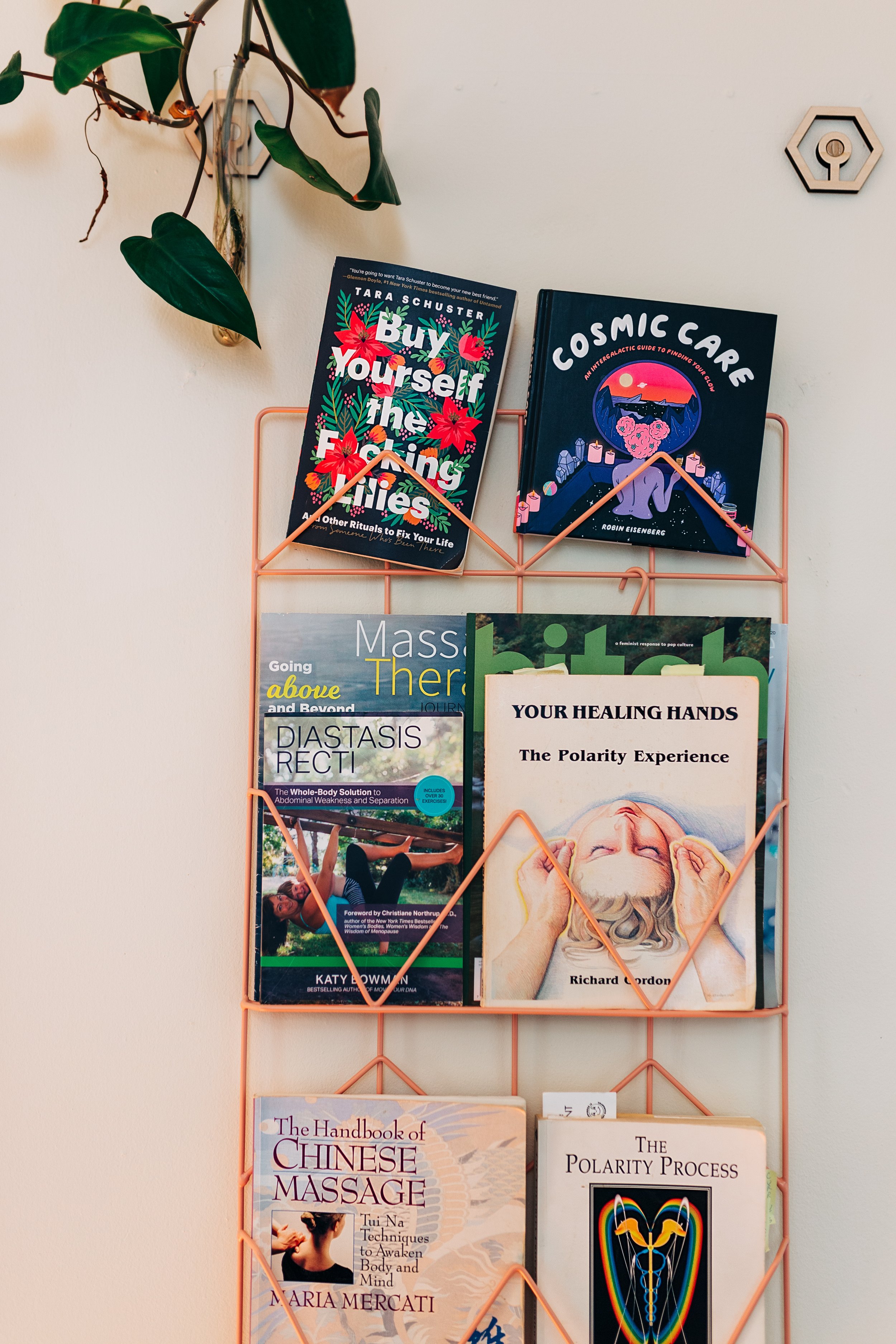 Books on a wire rack, including titles on self-care, healing, massage, and wellness, with a plant overhead on a wall.