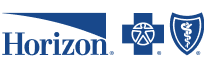 blue text to display logo for horizon insurance company