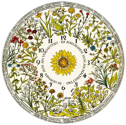 chronobiology & why I'm marking the equinox