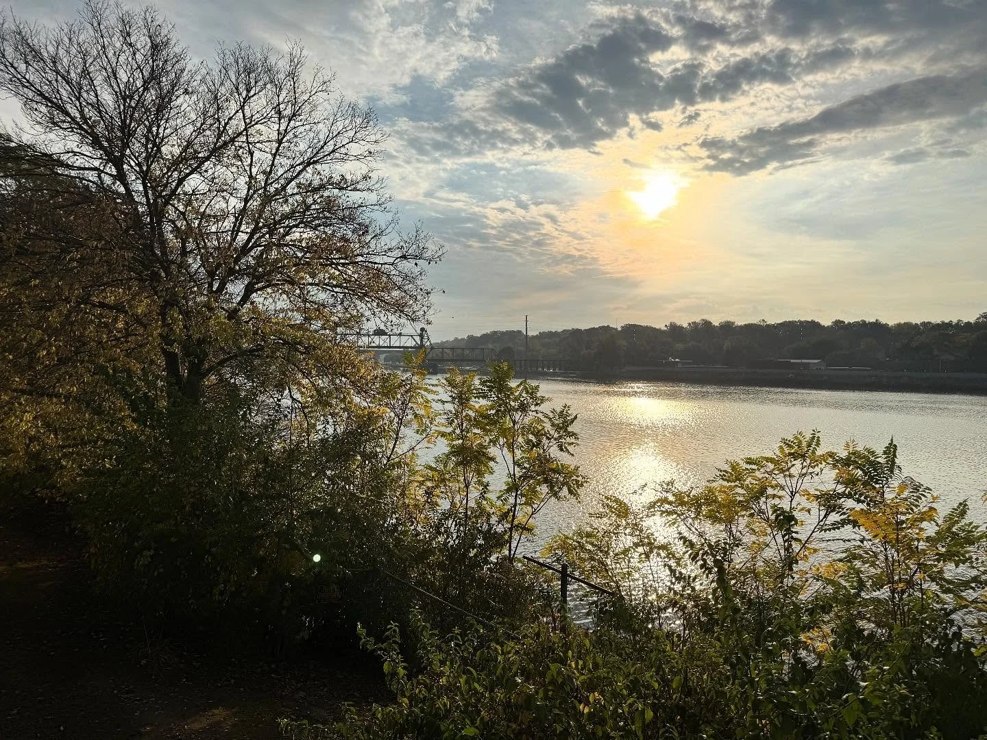 Beautiful scenes from the woods!