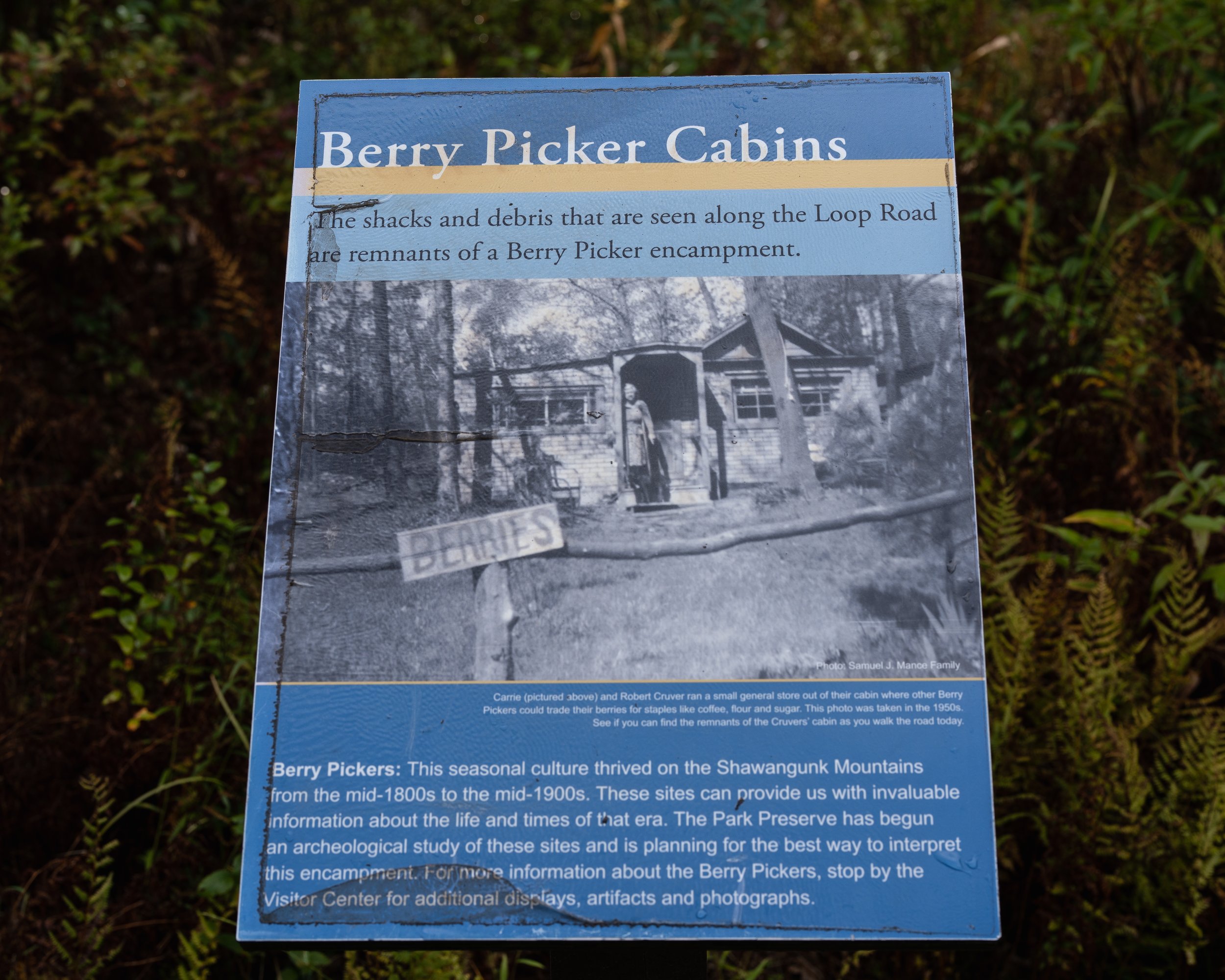 Smiths Point and High Point Hike Sept 2022-21.JPG