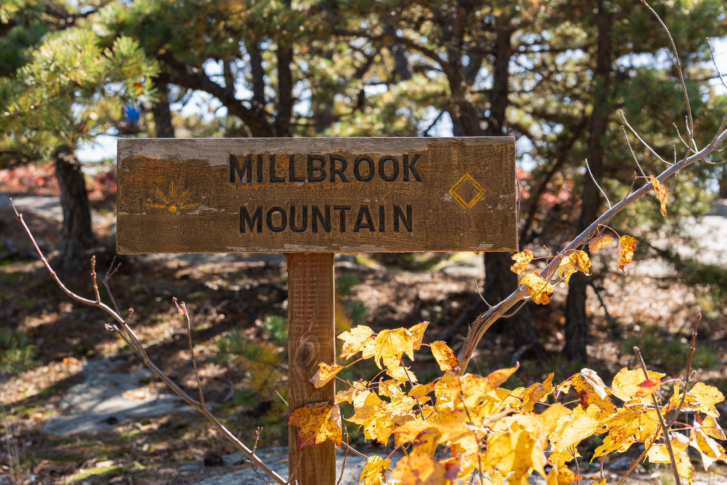 Millbrooke Mt Sign.JPG