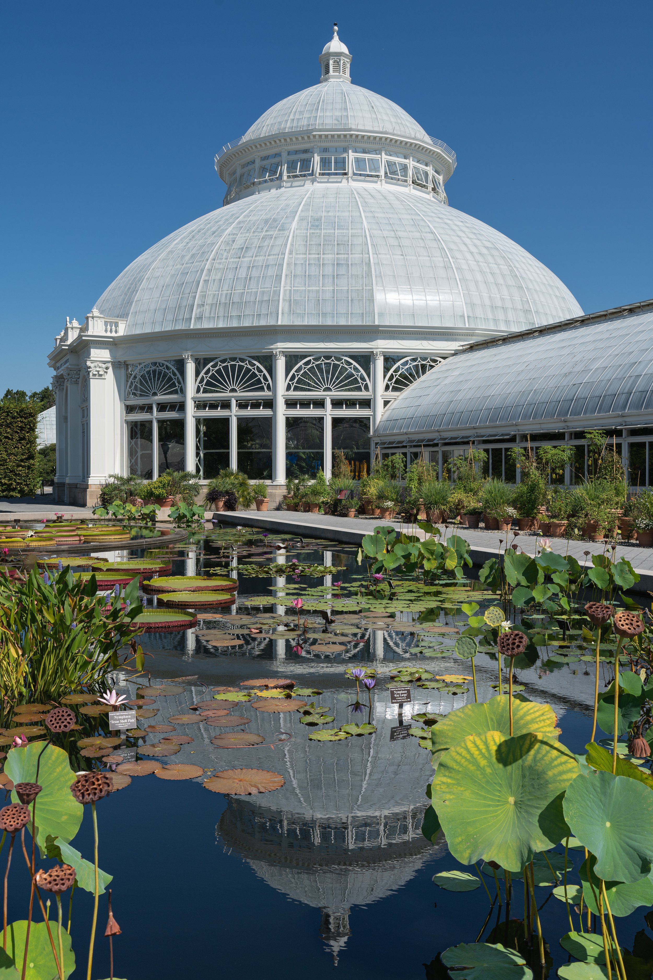 New York Botanical Garden Grounds-10.JPG