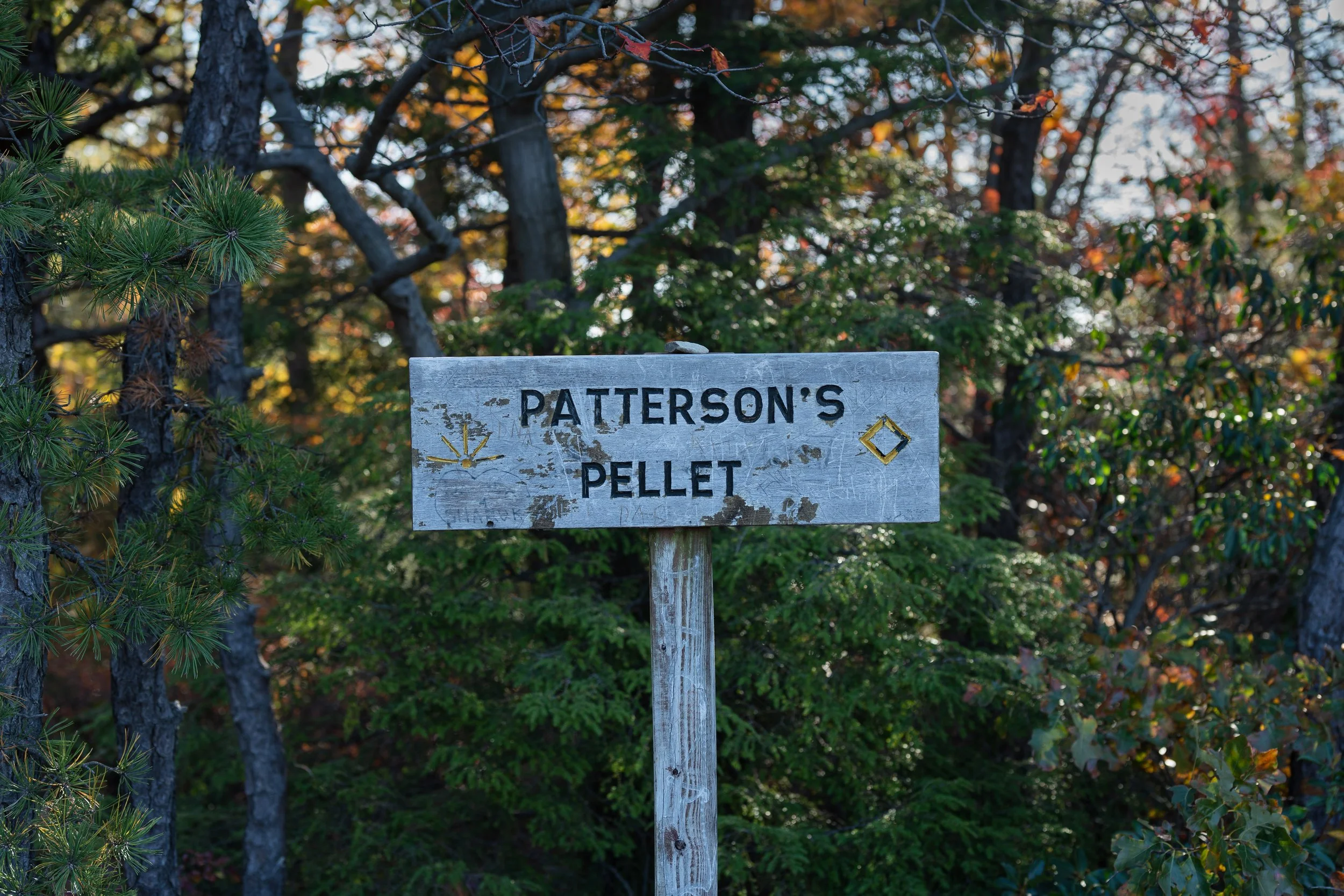 Pattersons Pellet-2.JPG