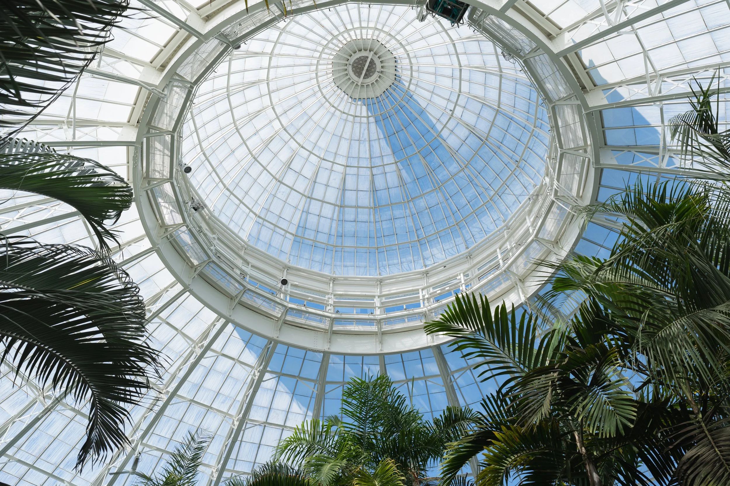 New York Botanical Garden Conservatory-3.JPG