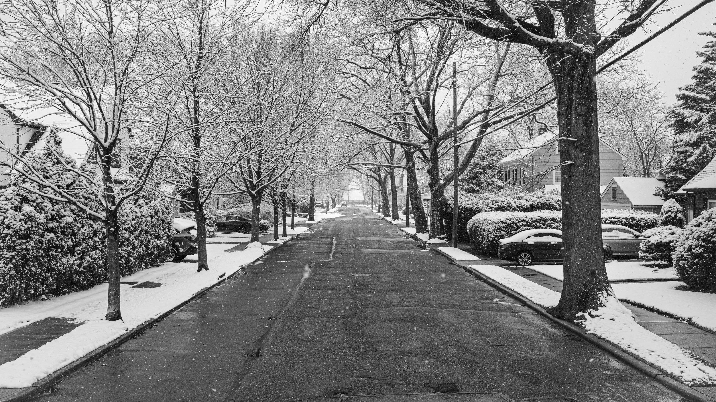MayfairAvenueSnowstorm.jpg