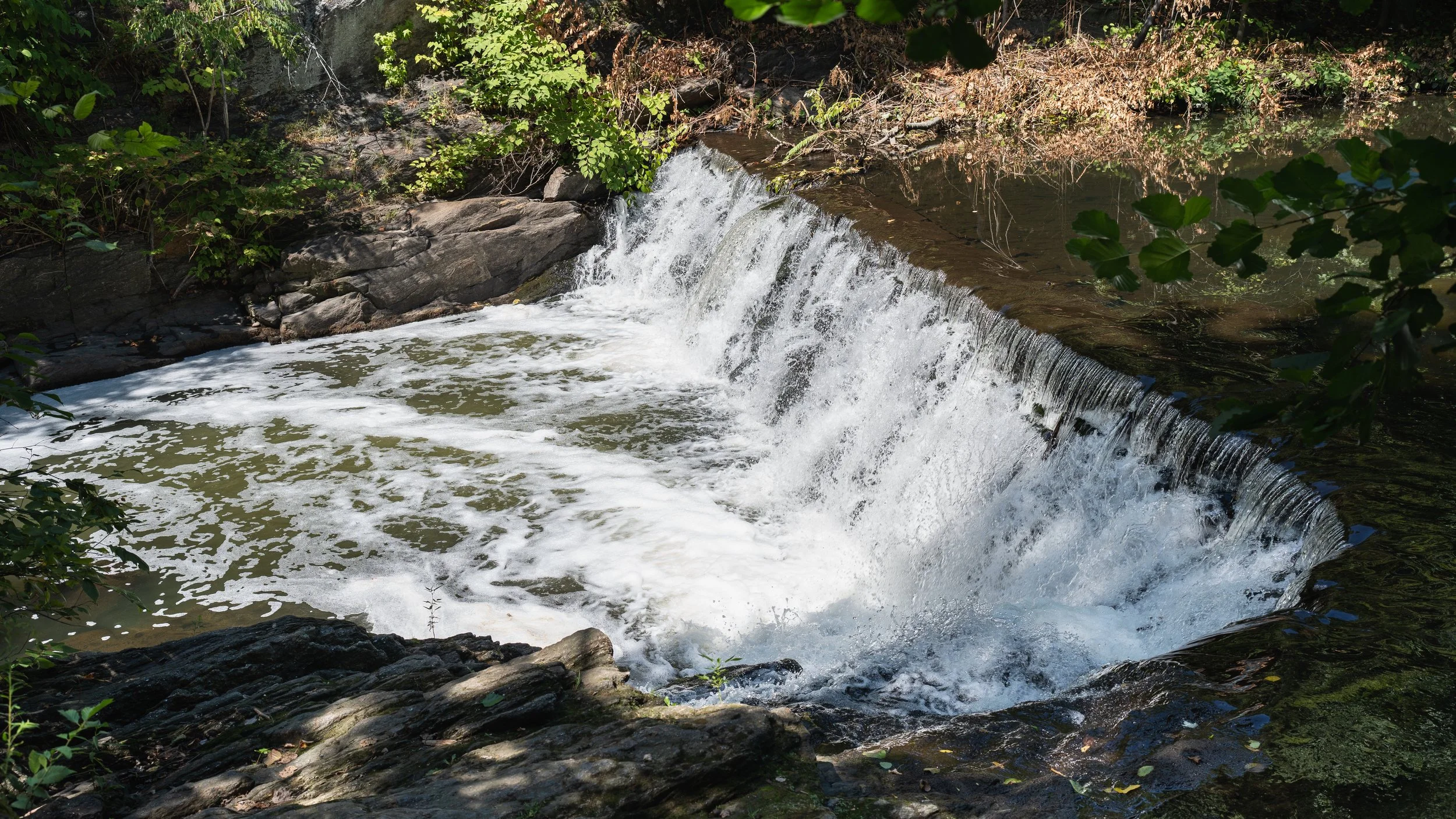 New York Botanical Garden Grounds-21.JPG