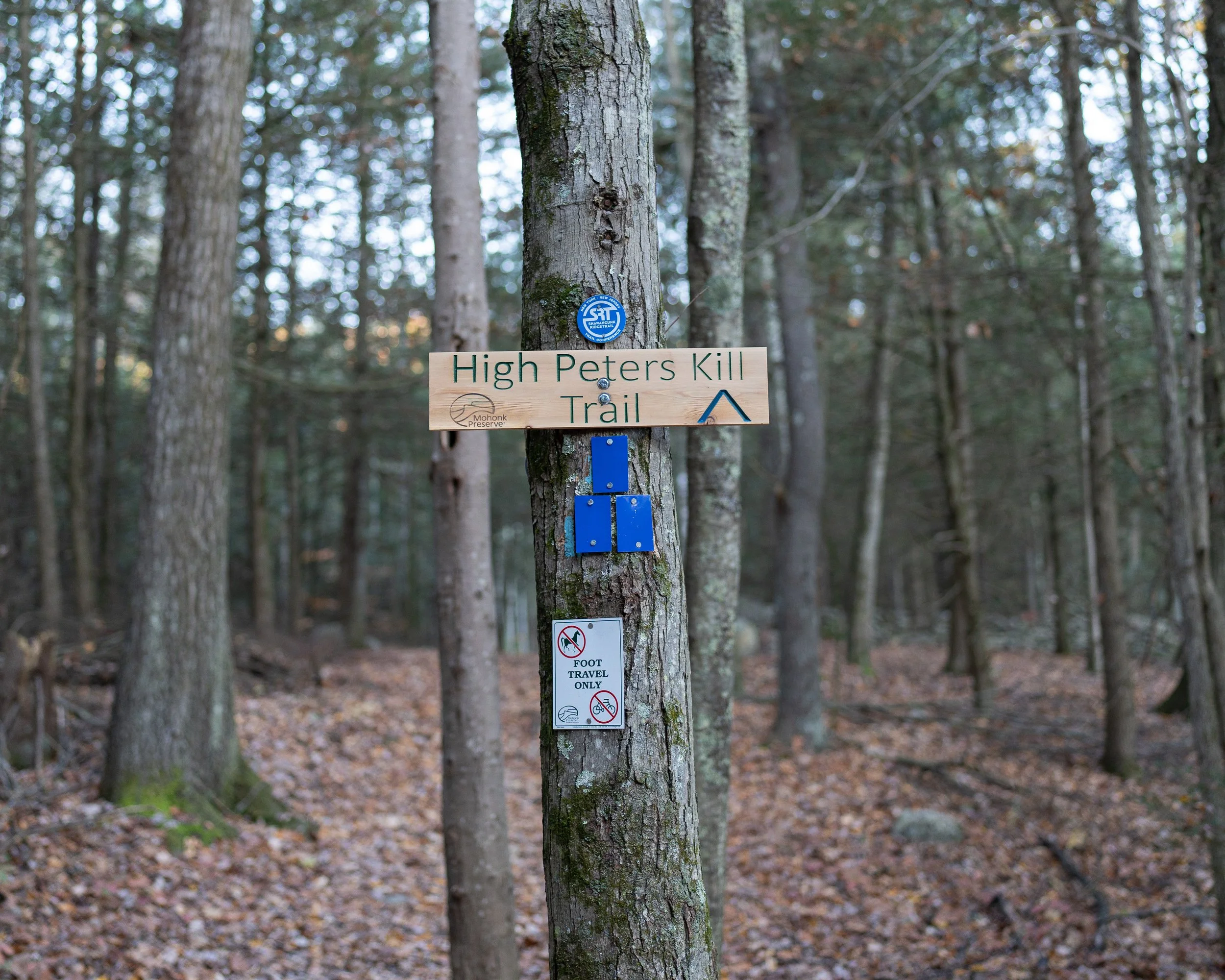 Mohonk Preserve Low Res Images.JPG