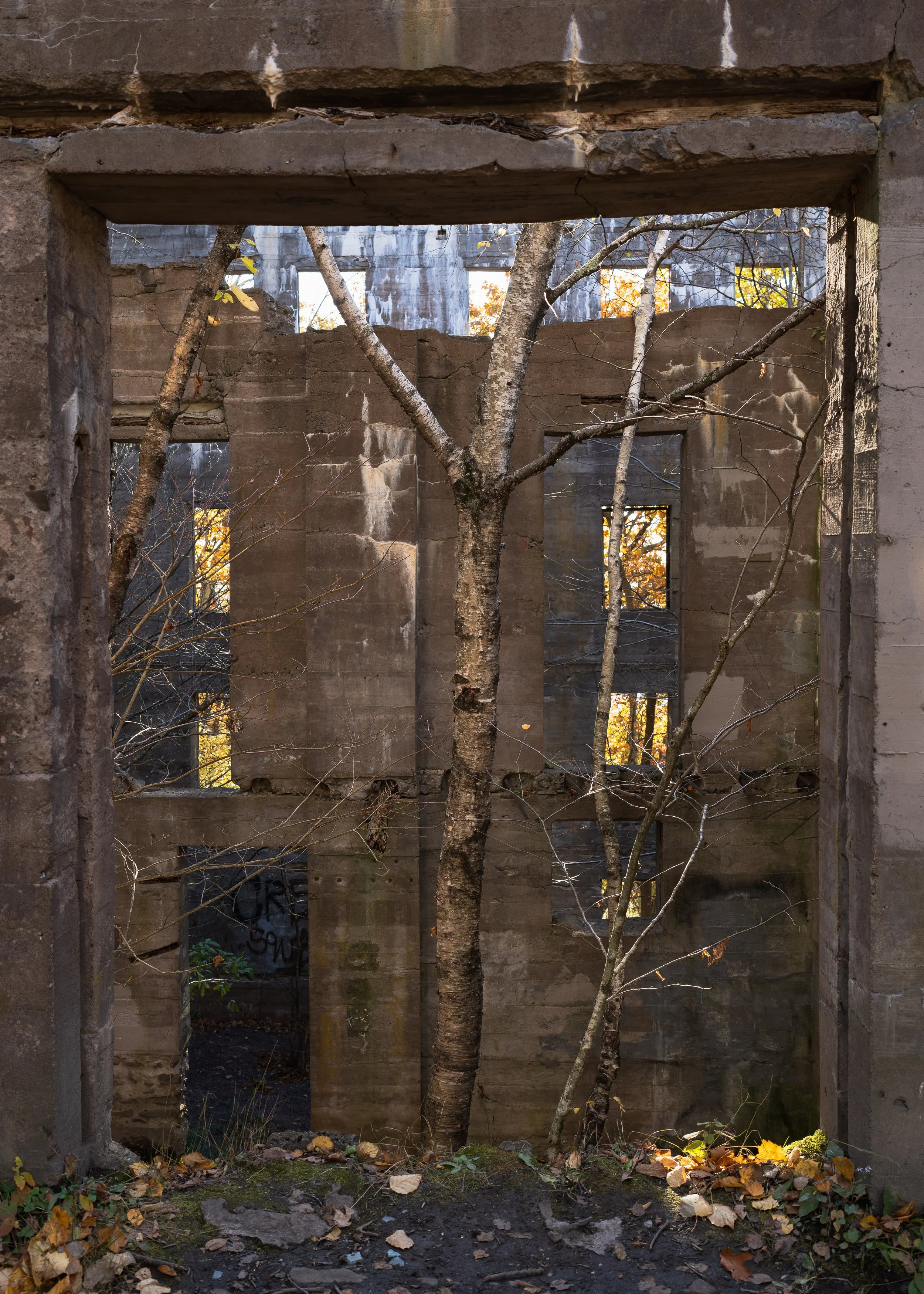 Overlook Hotel-8.JPG