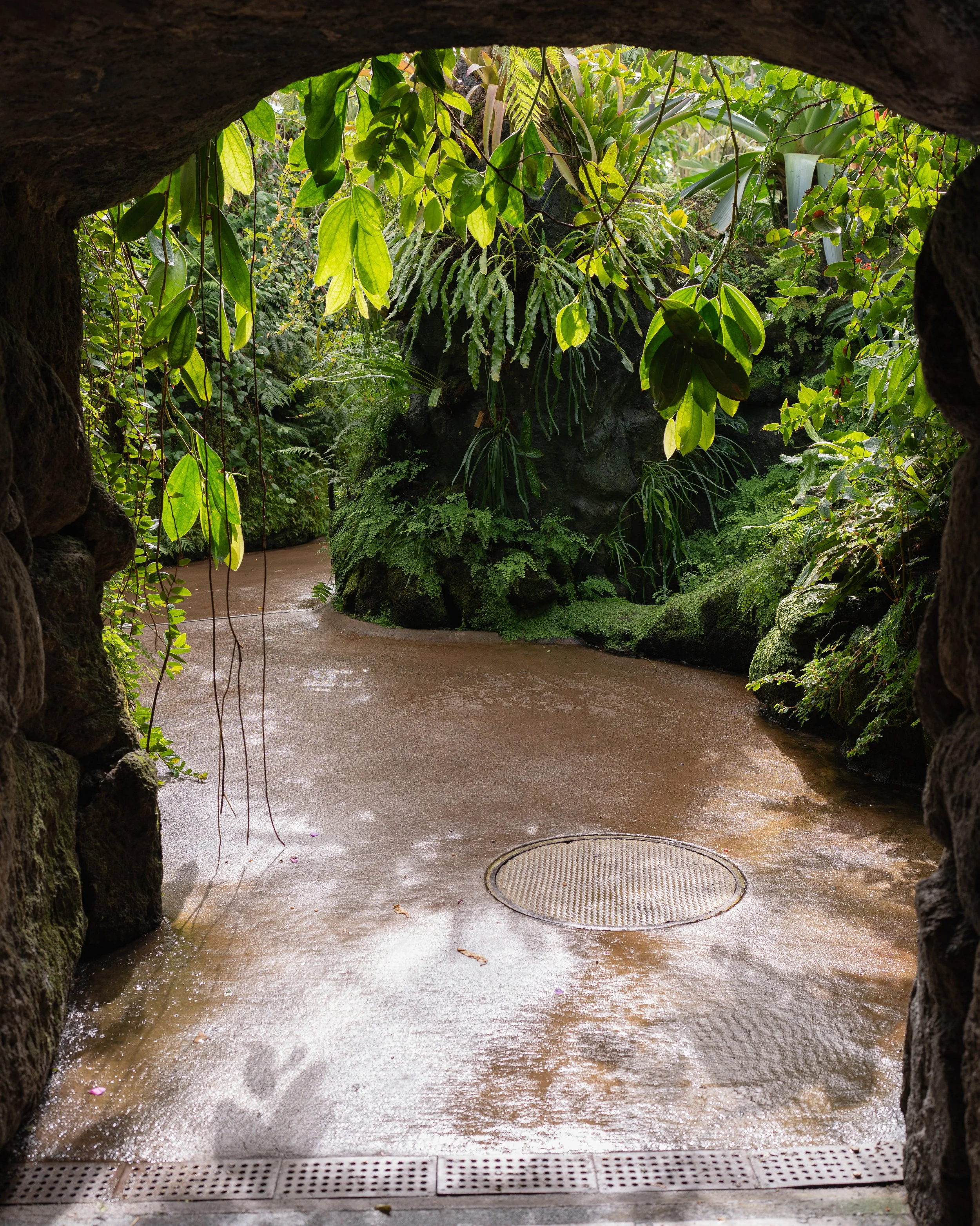 New York Botanical Garden Grounds-9.JPG
