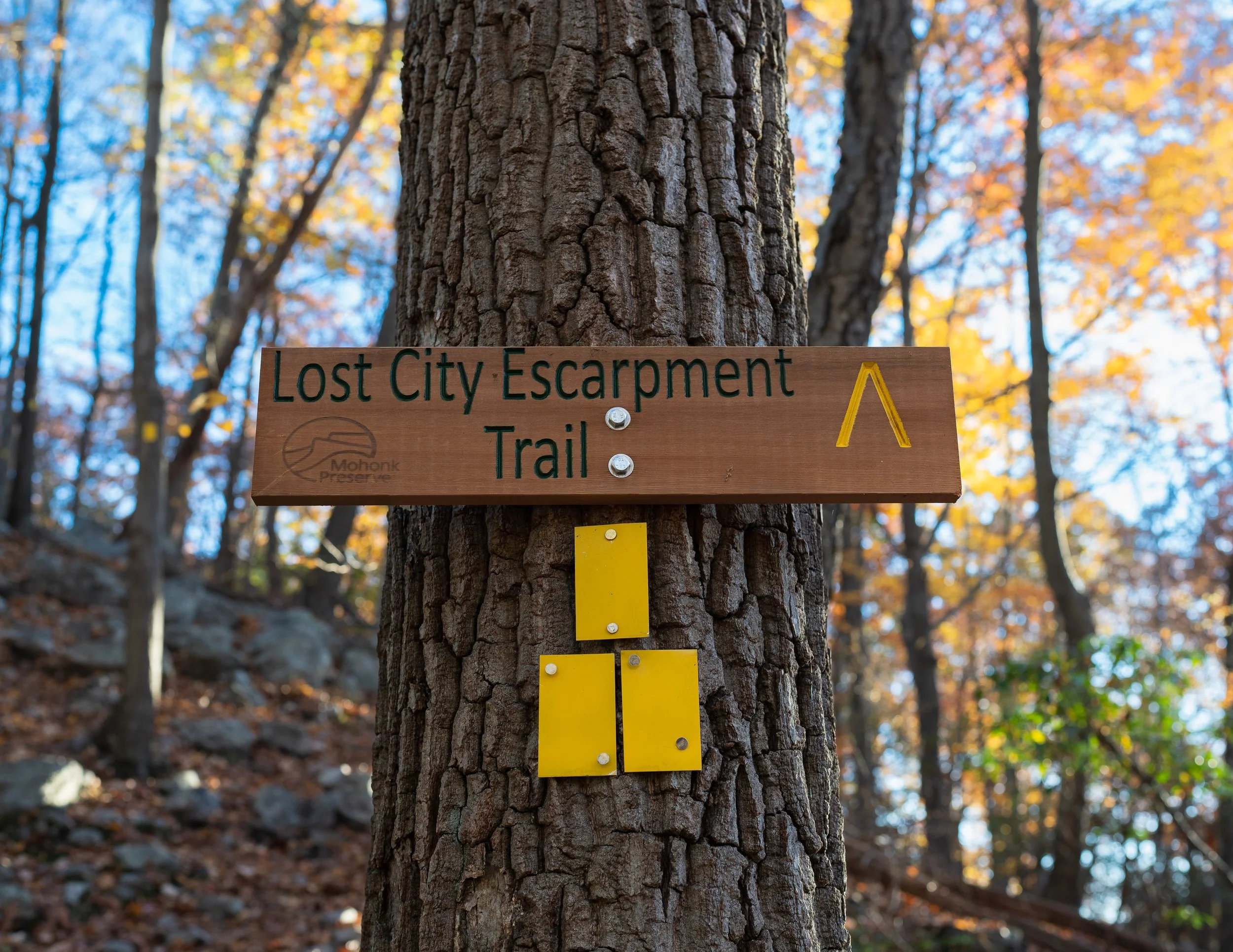 Mohonk Preserve Low Res Images-4.JPG