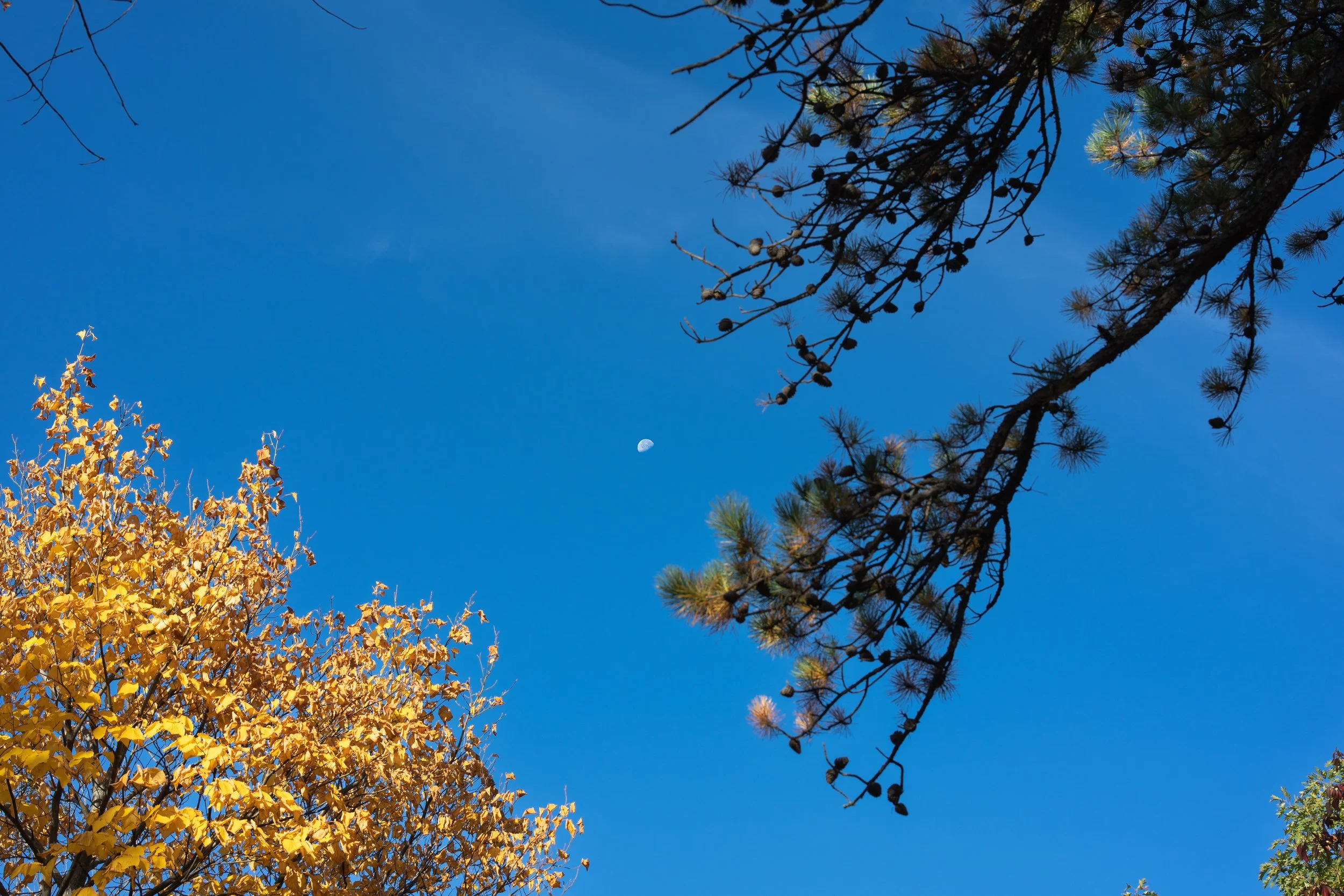 Gertrudes Nose Hike Pictures_-2.JPG