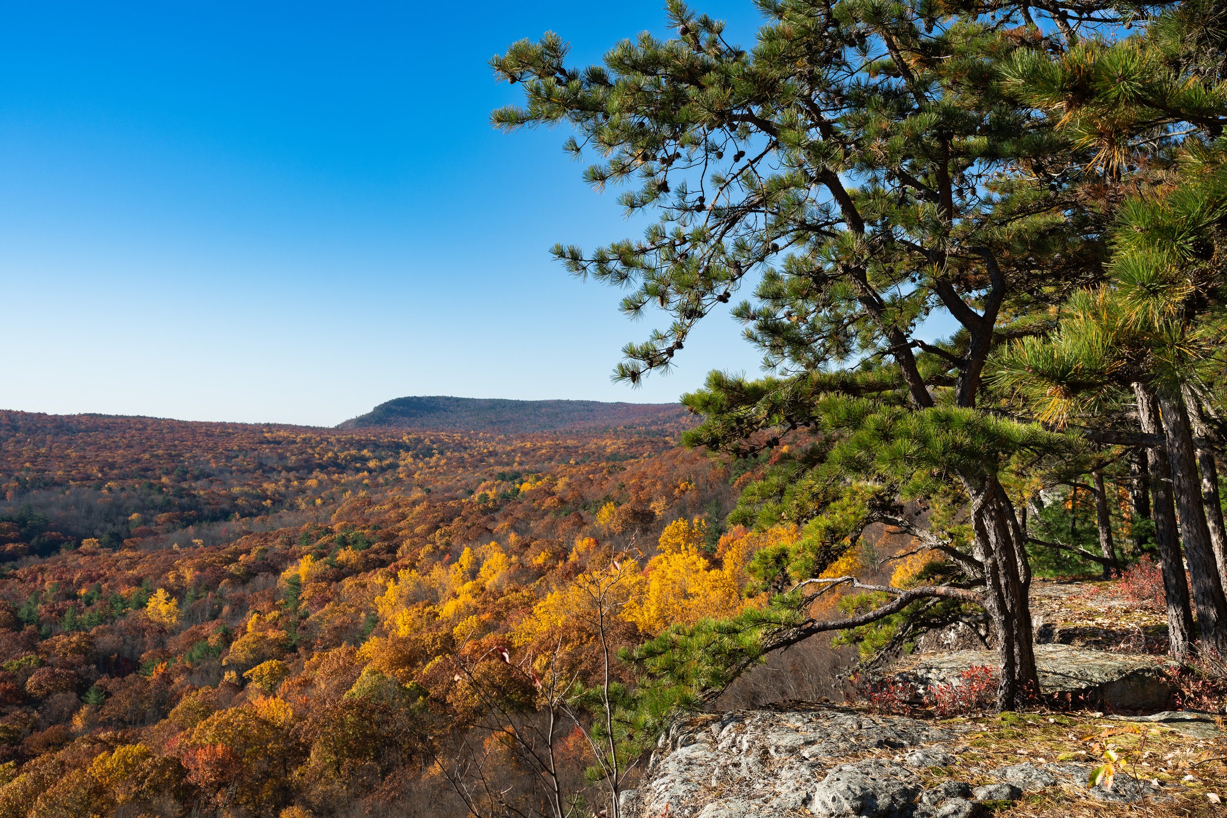 Mohonk Preserve Low Res Images-6.JPG