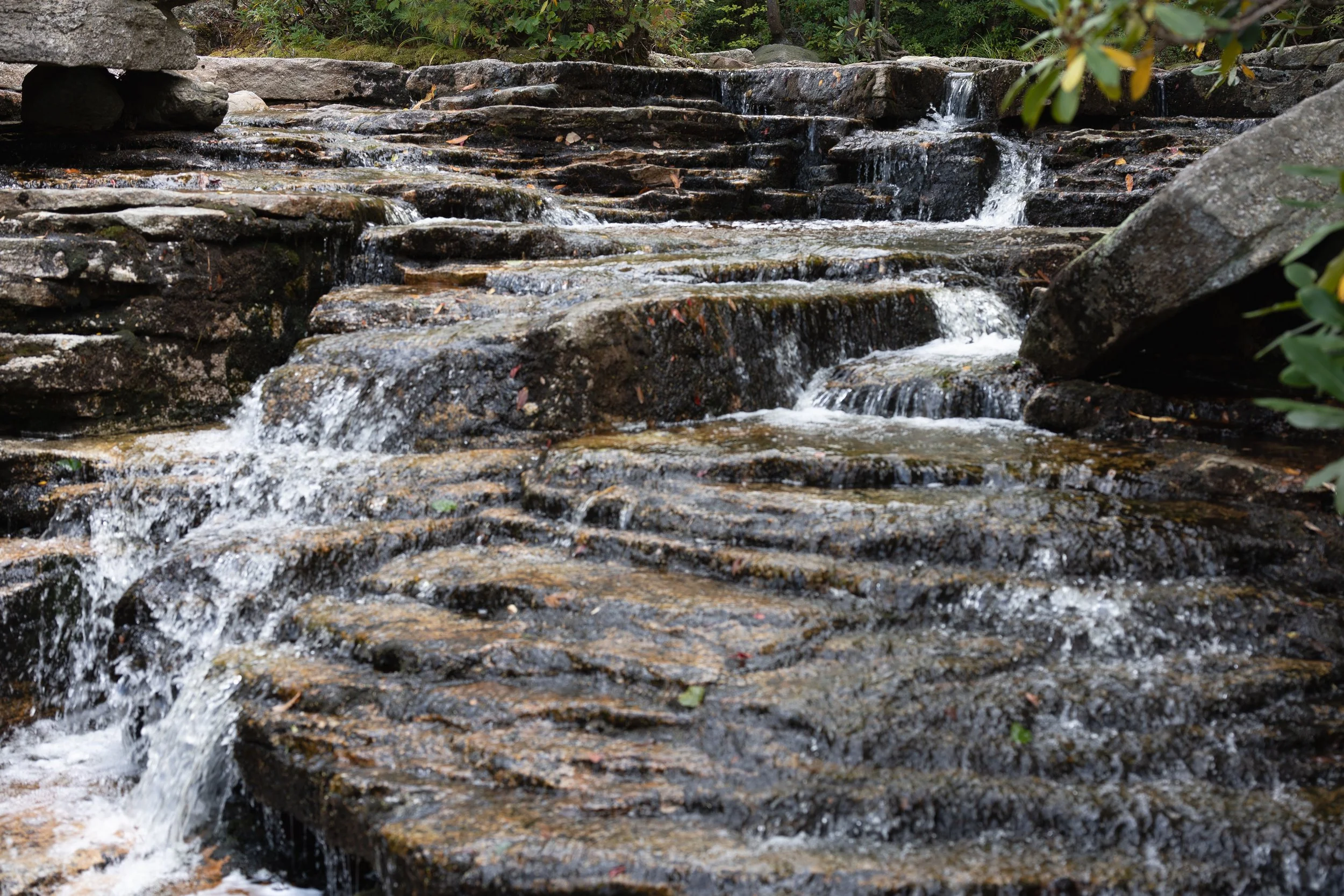 Smiths Point and High Point Hike Sept 2022-14.JPG