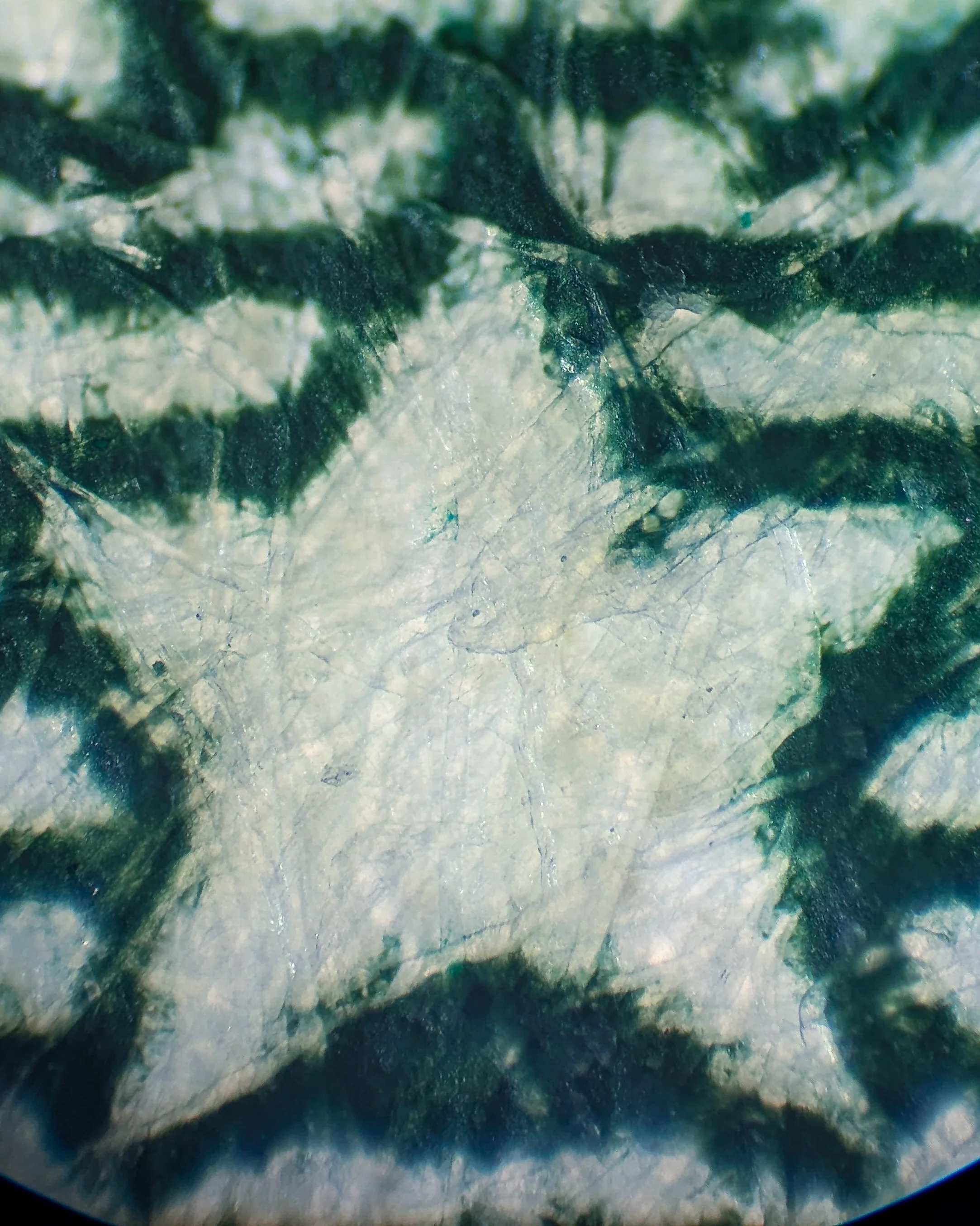 dollar star 2 edit.jpg