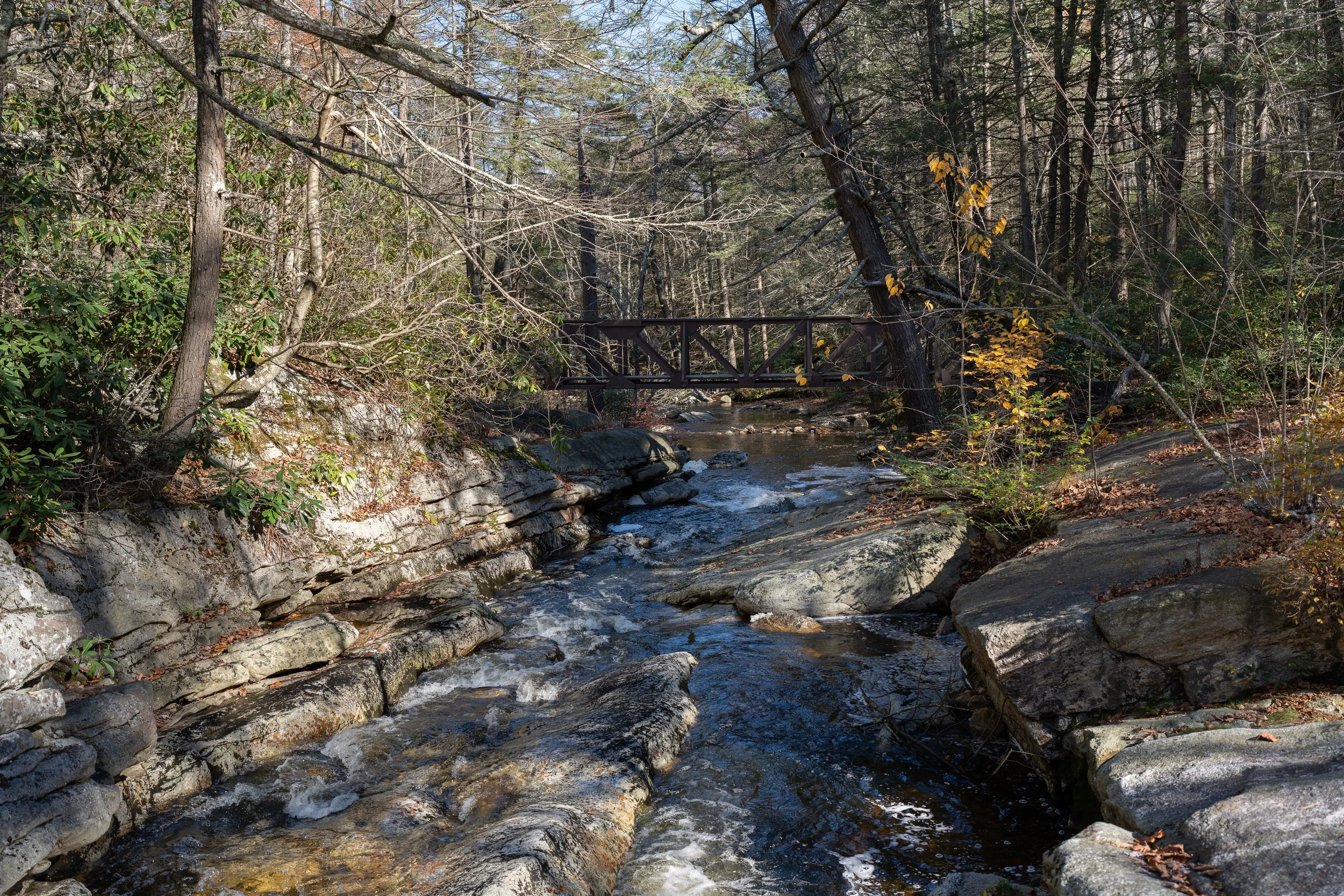 Mohonk Preserve Low Res Images-9.JPG