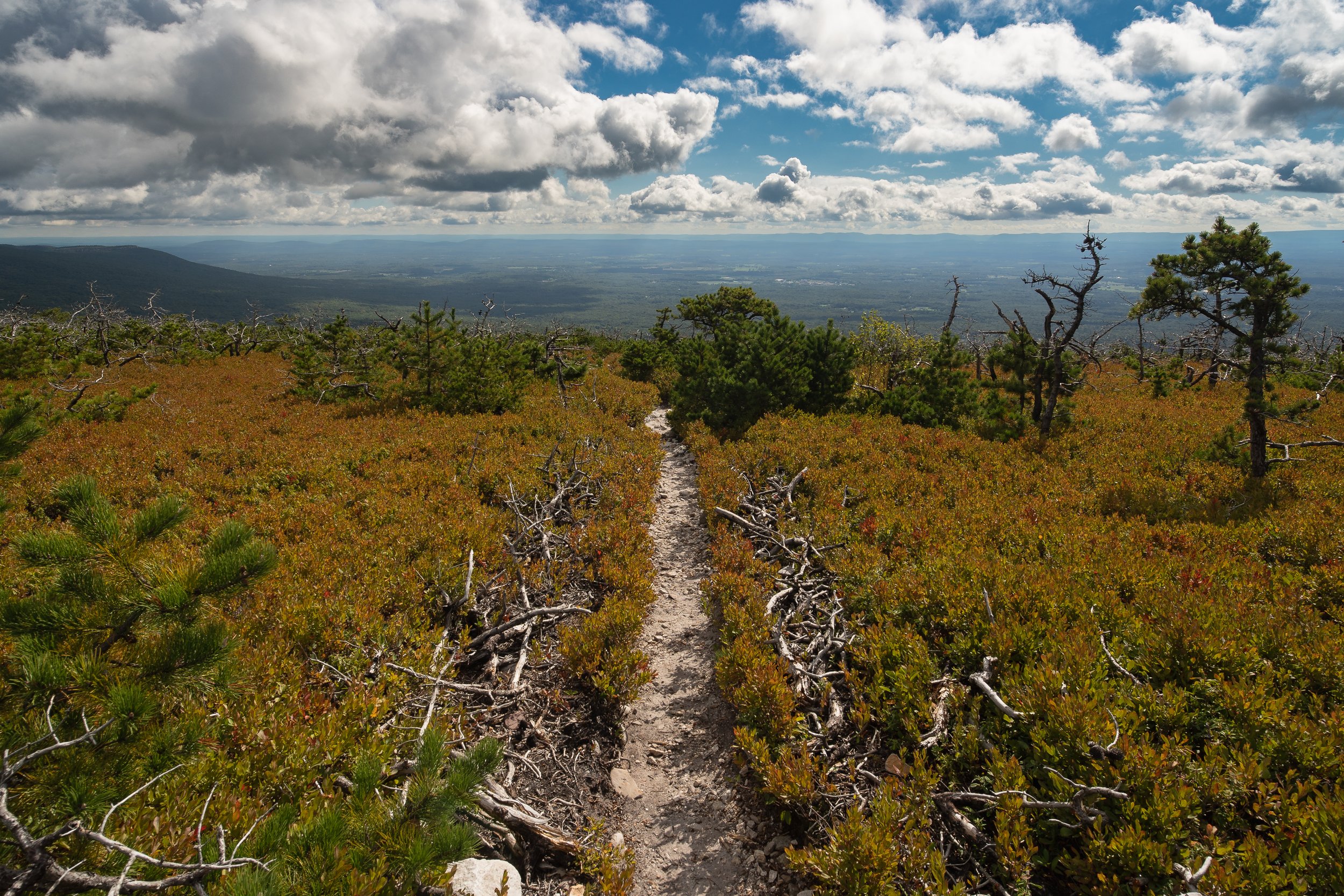 Smiths Point and High Point Hike Sept 2022-10.JPG