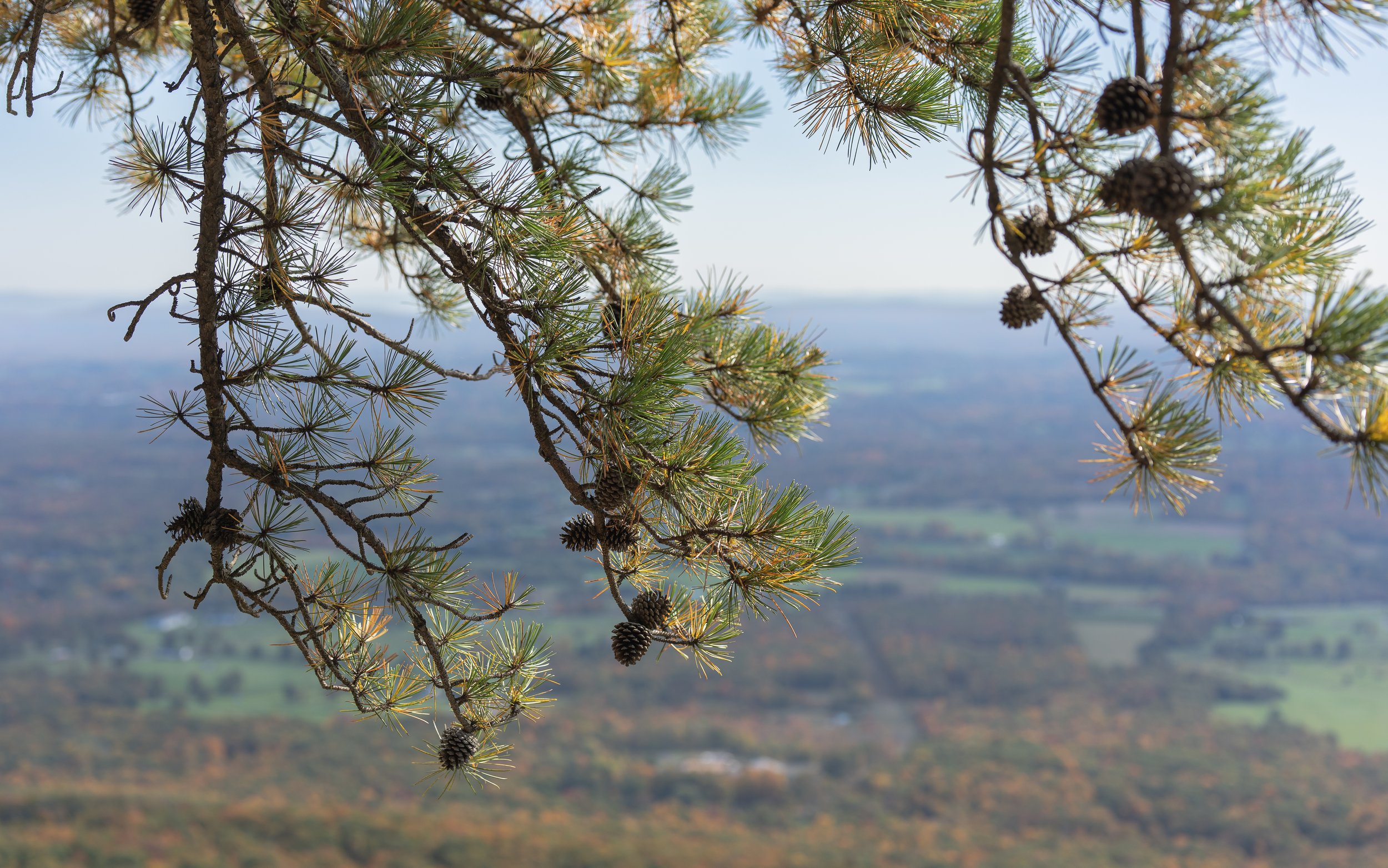 Fall foliage at Minnewaska-7.JPG