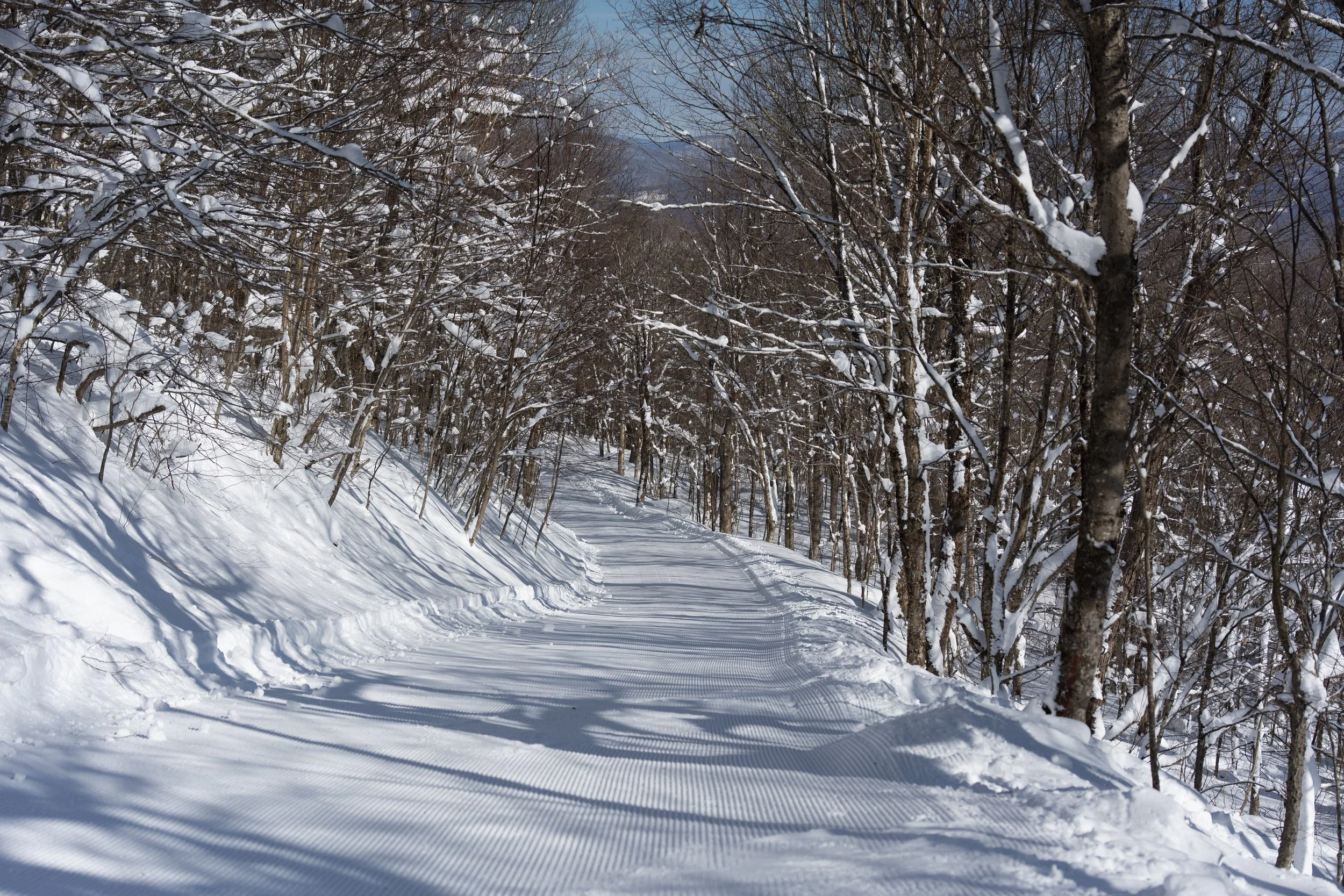 Belleayre Ski Trip 2023-12.JPG