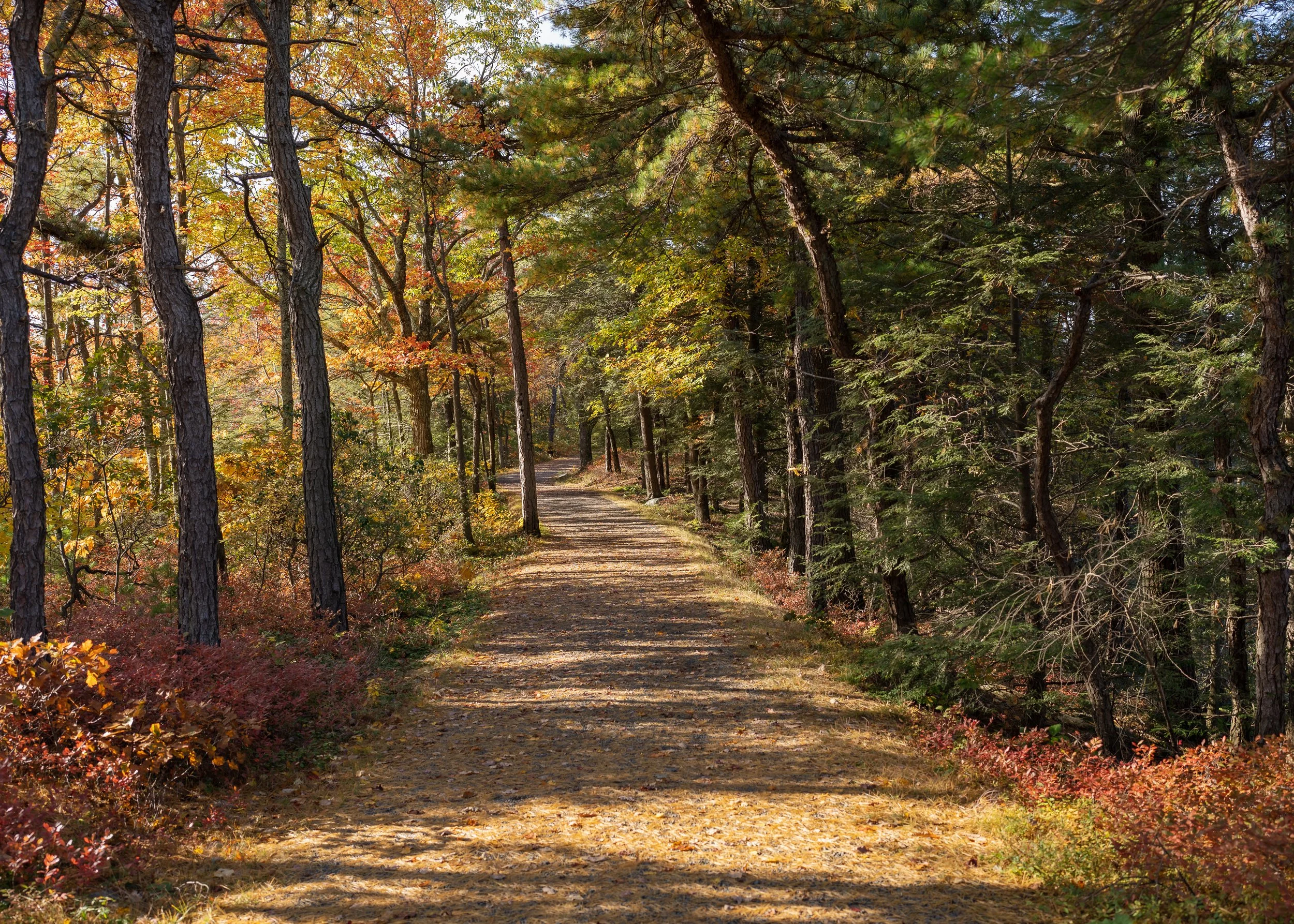 Gertrudes Nose Hike Pictures_-8.JPG