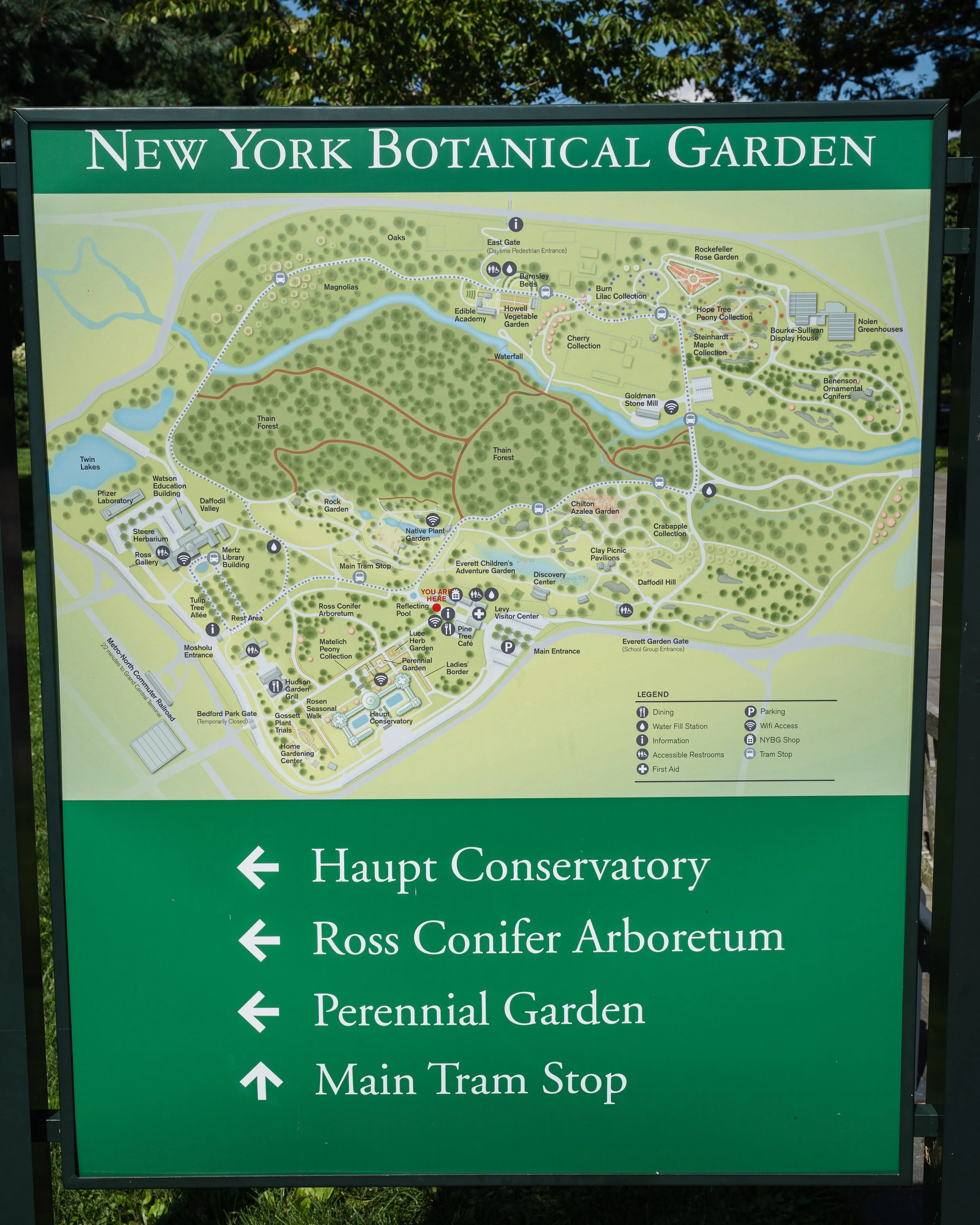 New York Botanical Garden Grounds-24.JPG