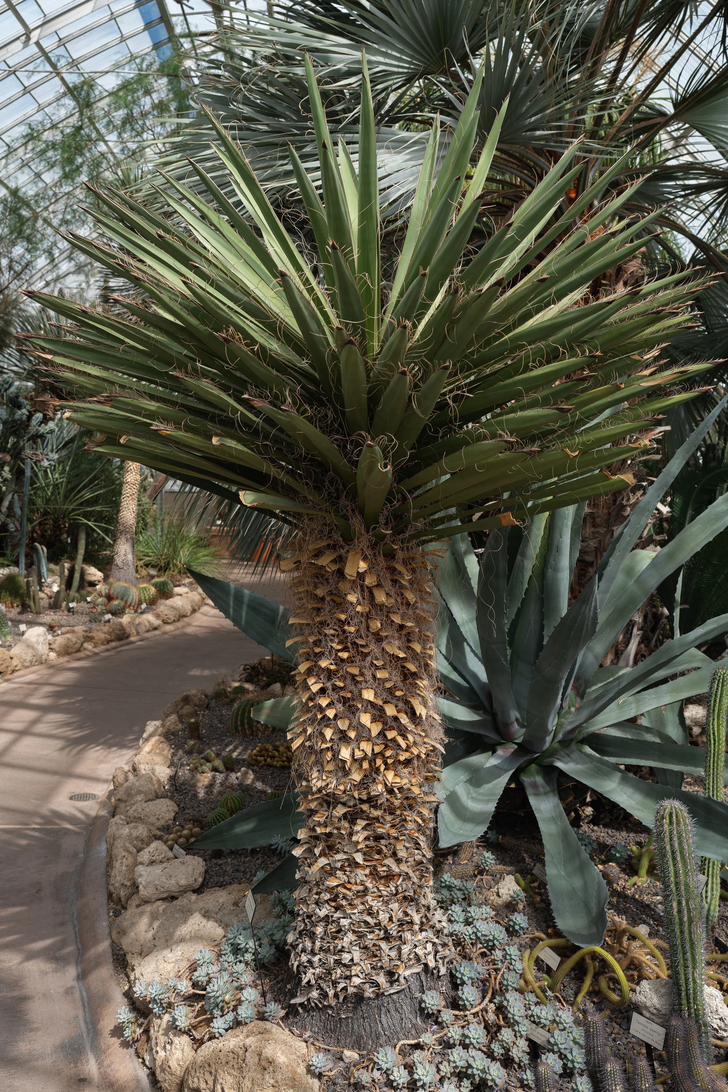 New York Botanical Garden Grounds-8.JPG