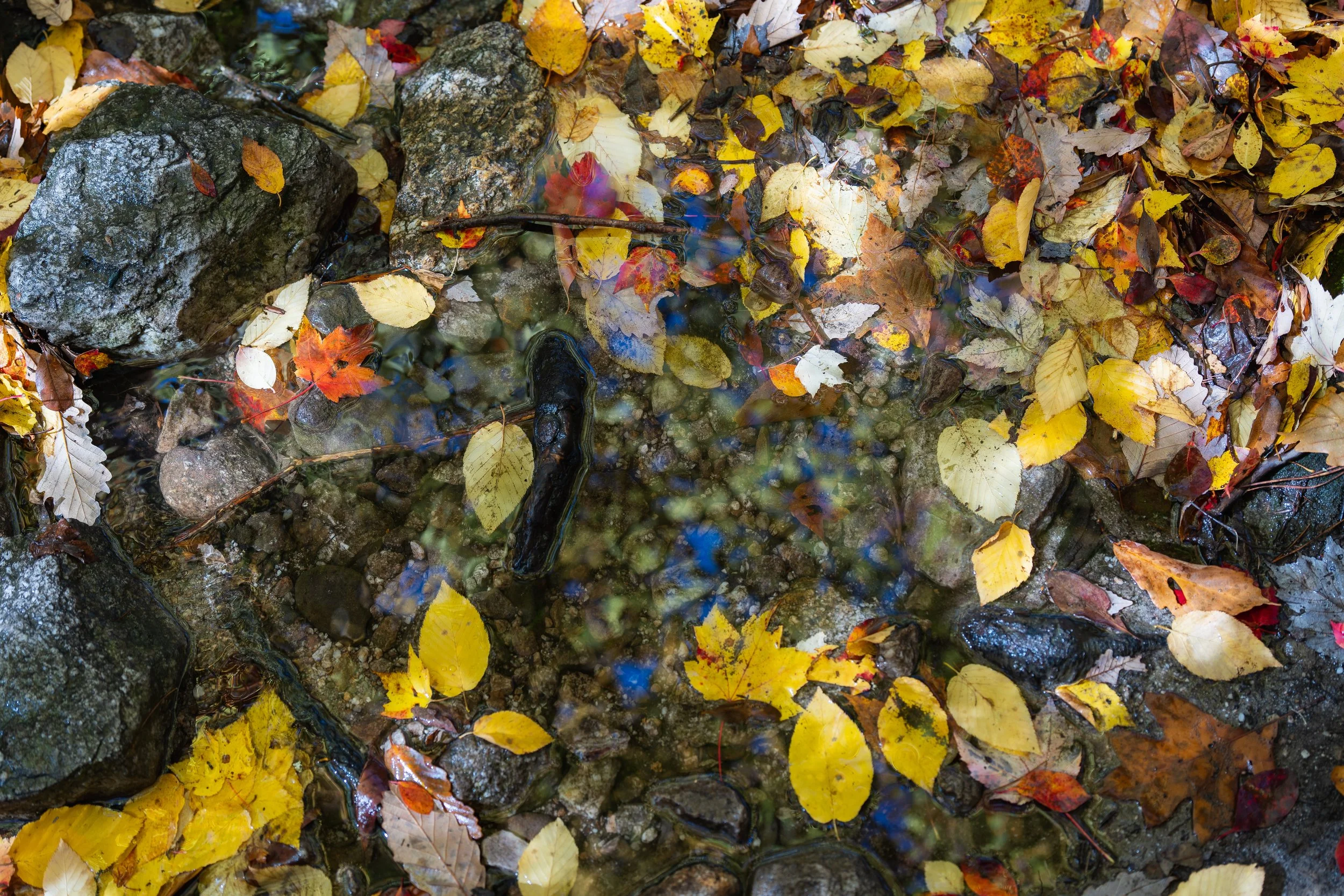 Gertrudes Nose Hike Pictures_-25.JPG