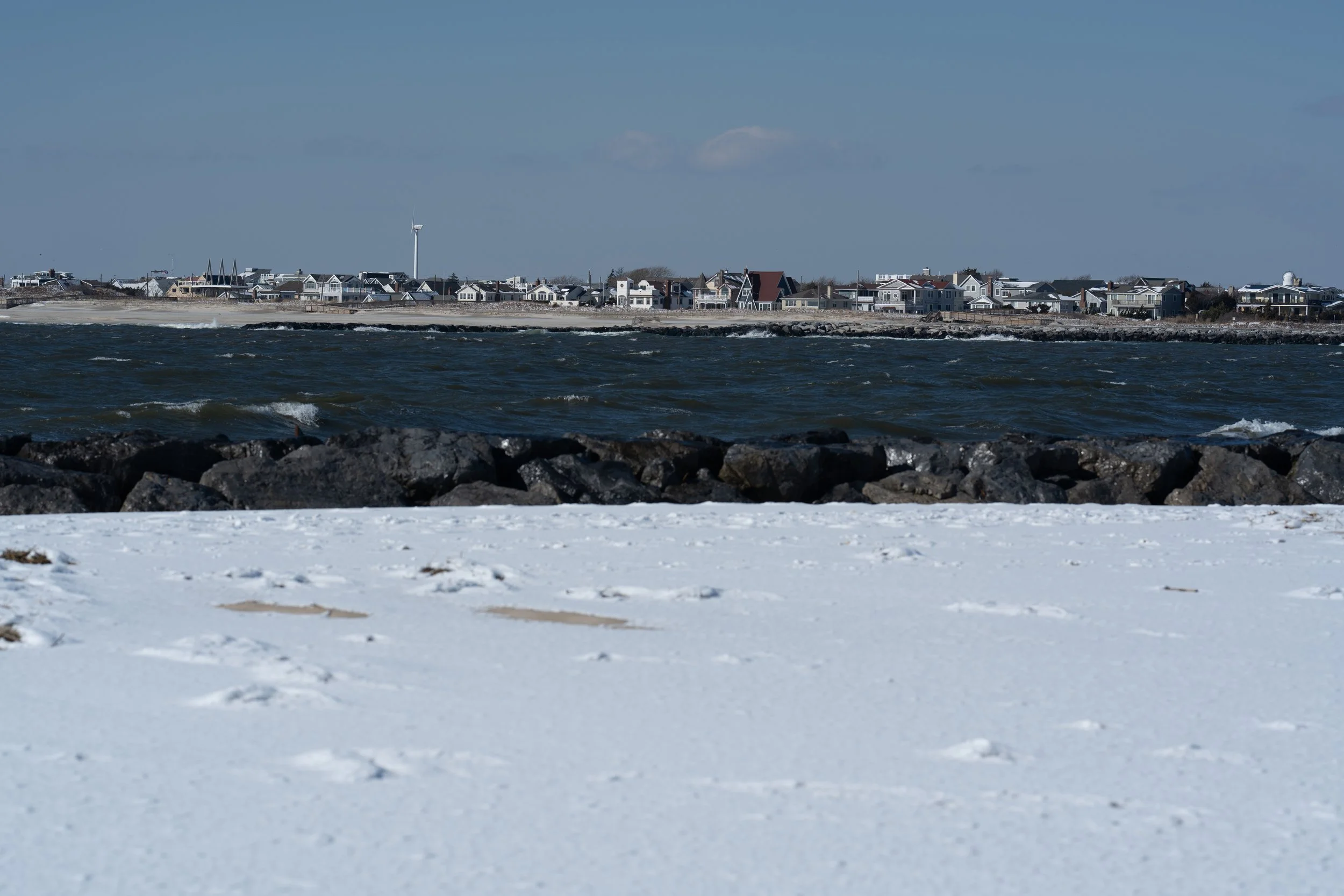 Jones in Snow-83.jpg