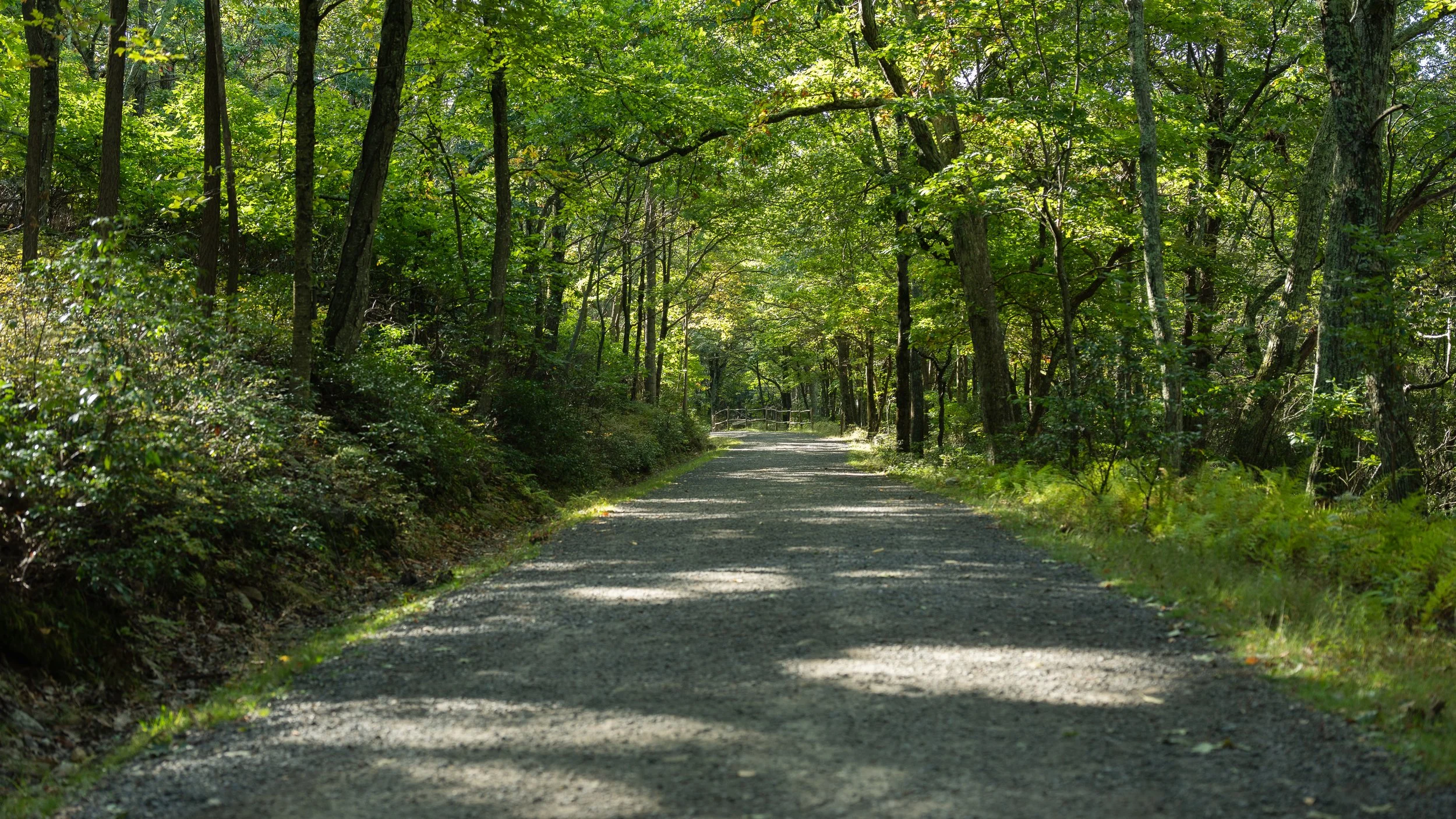 Smiths Point and High Point Hike Sept 2022-3.JPG