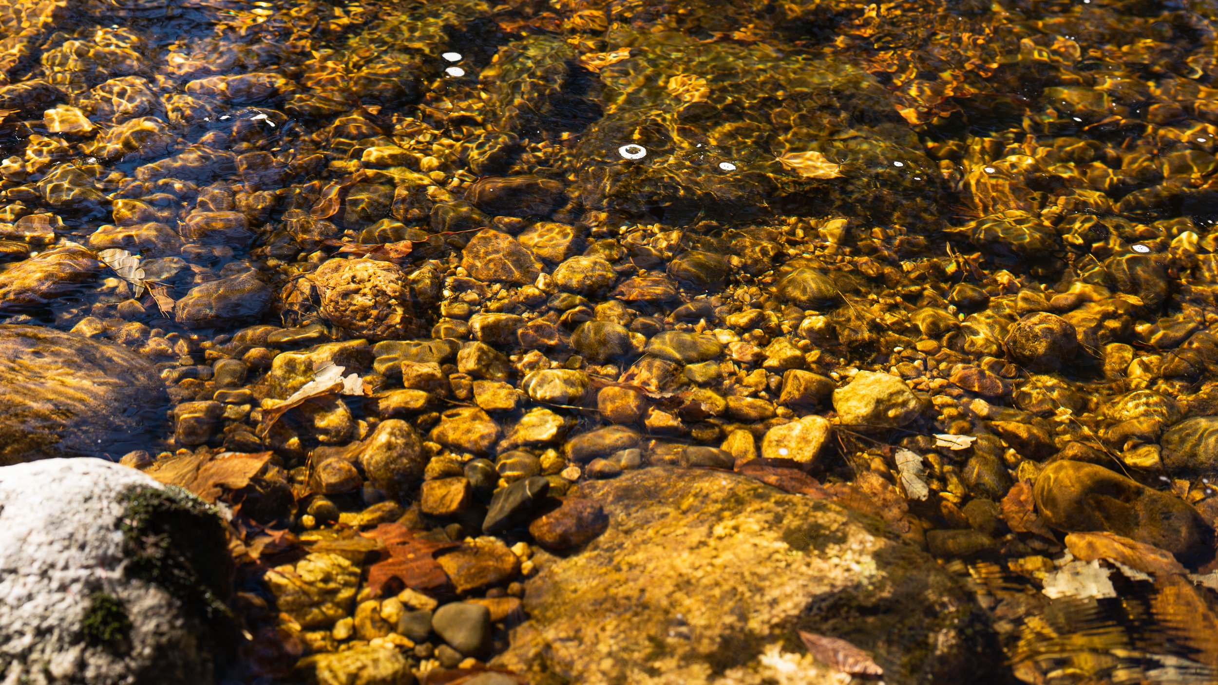 Mohonk Preserve Low Res Images-11.JPG