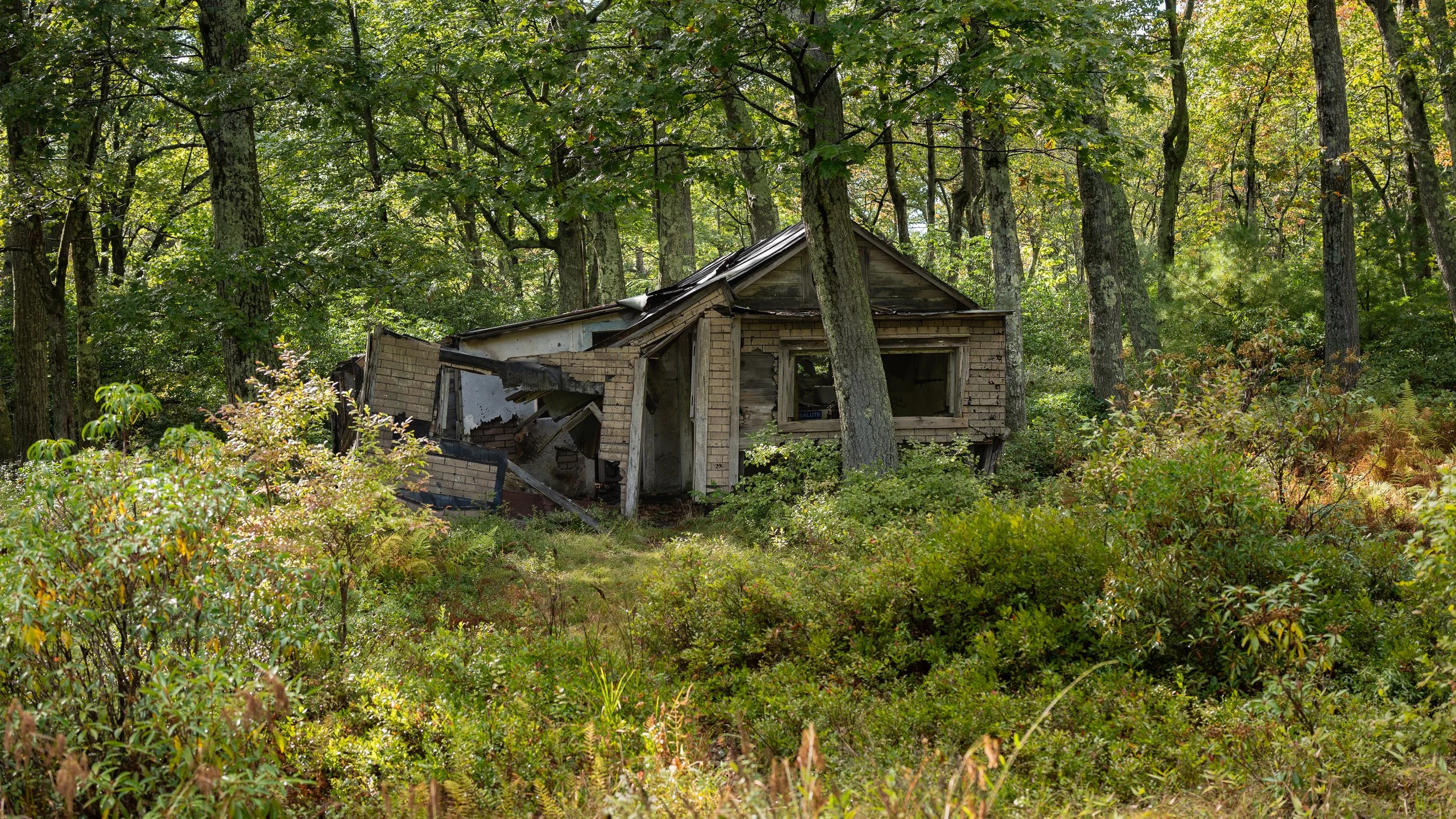 Smiths Point and High Point Hike Sept 2022-20.JPG