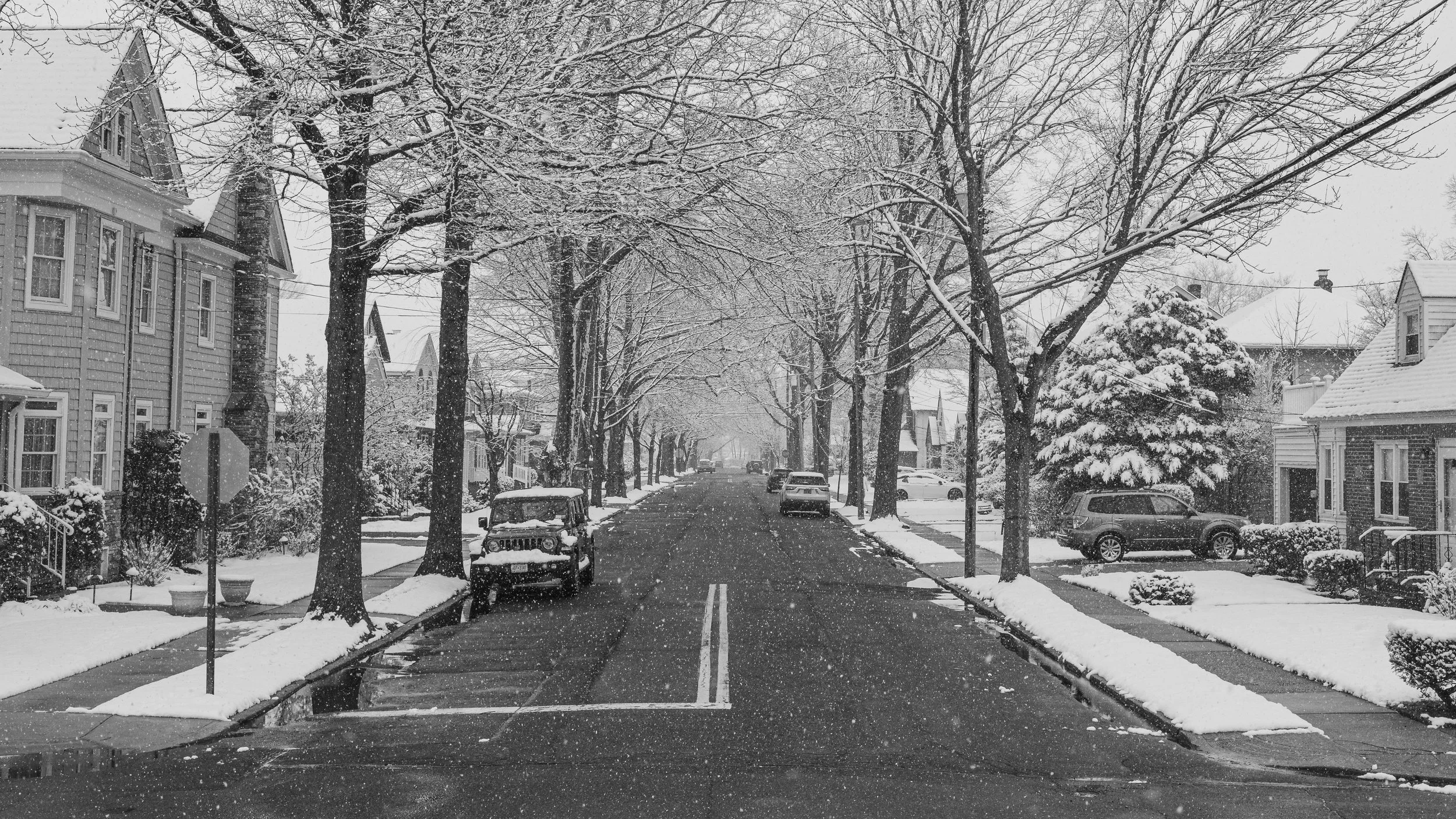 ChestnutAvenueSnowBlWh.jpg