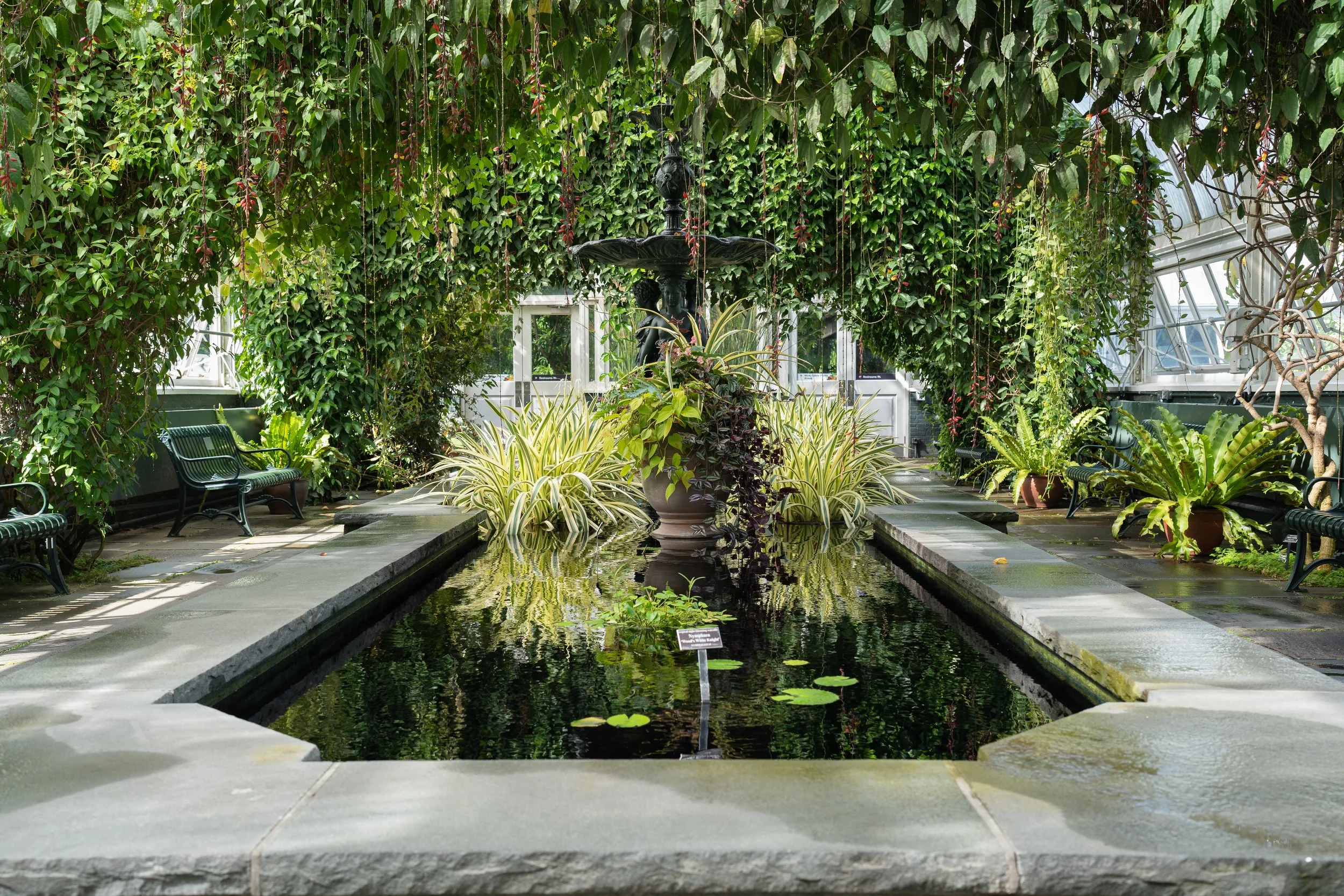 New York Botanical Garden Grounds-2.JPG