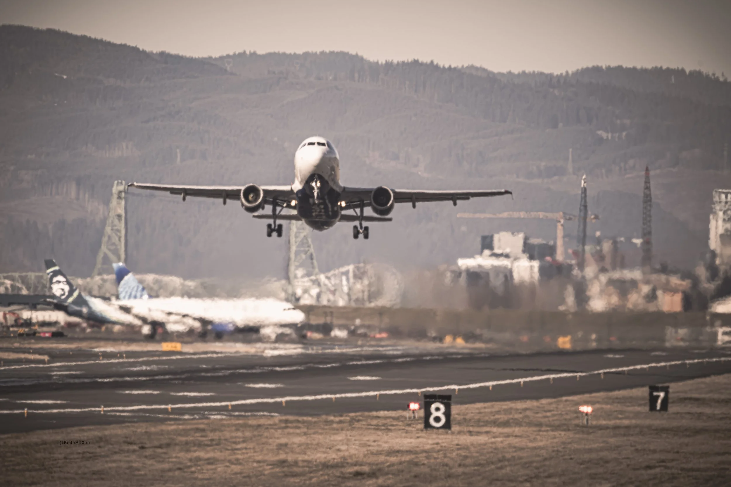 DL319-1.jpg