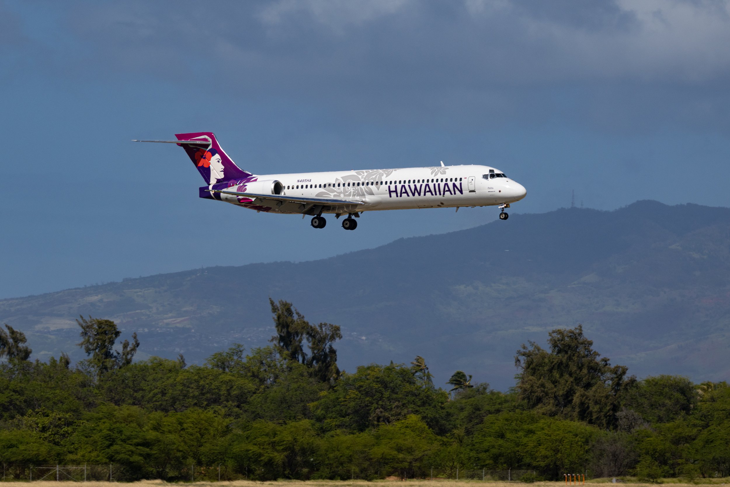 Hawaiian-11.jpg