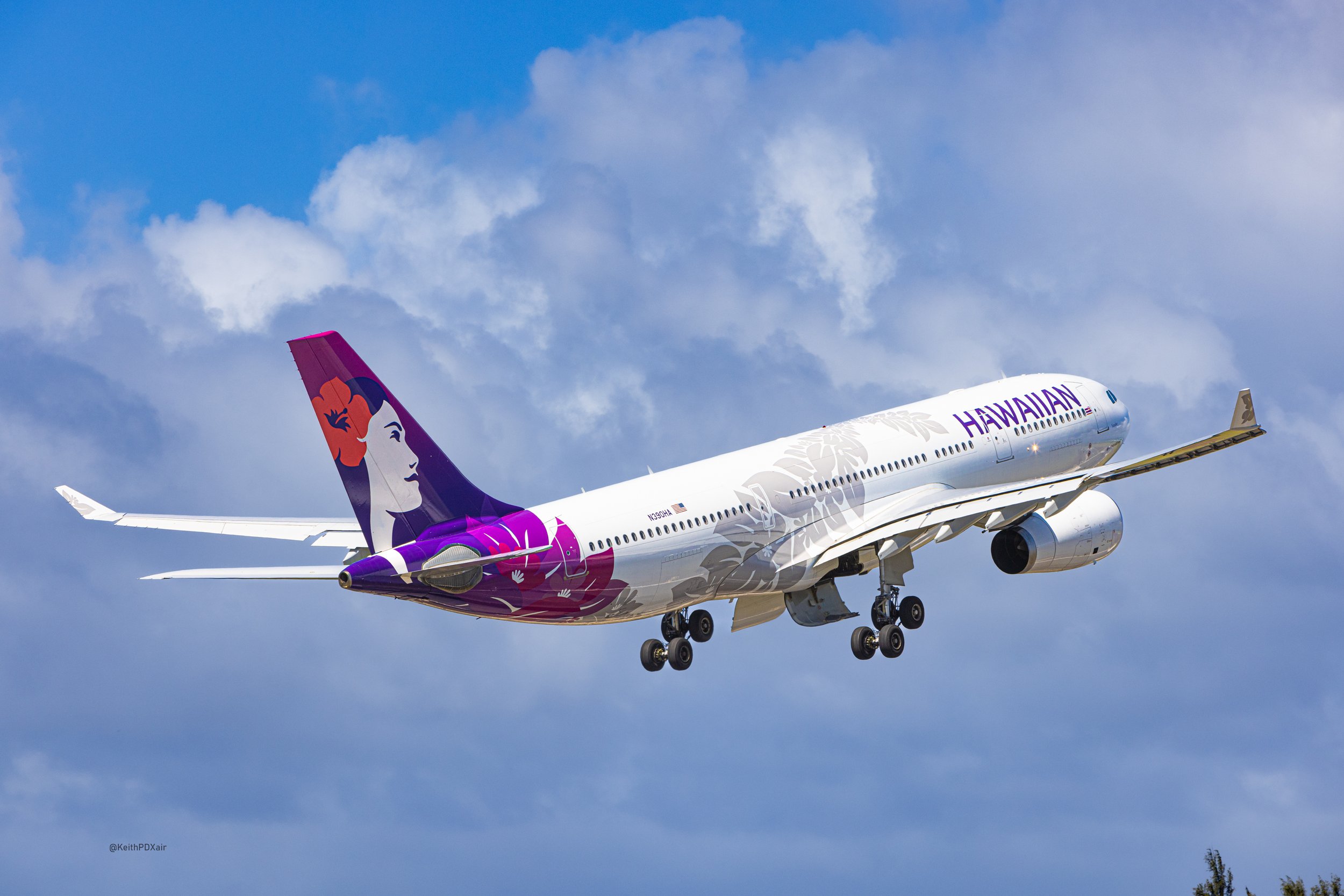 Hawaiian-5-2.jpg