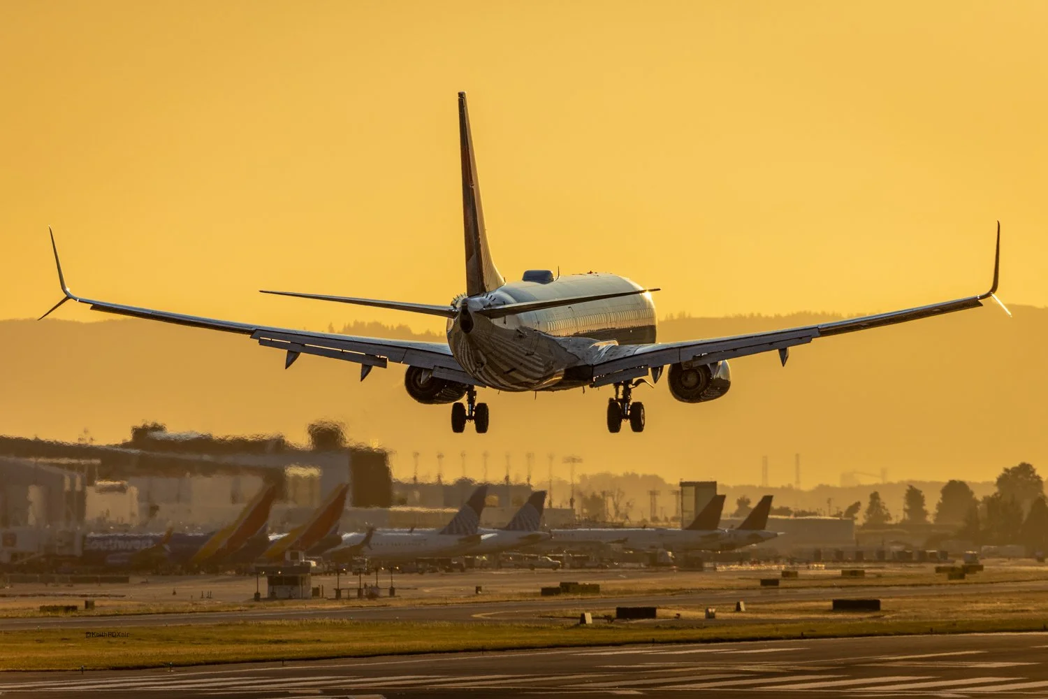 DL73 712.jpg