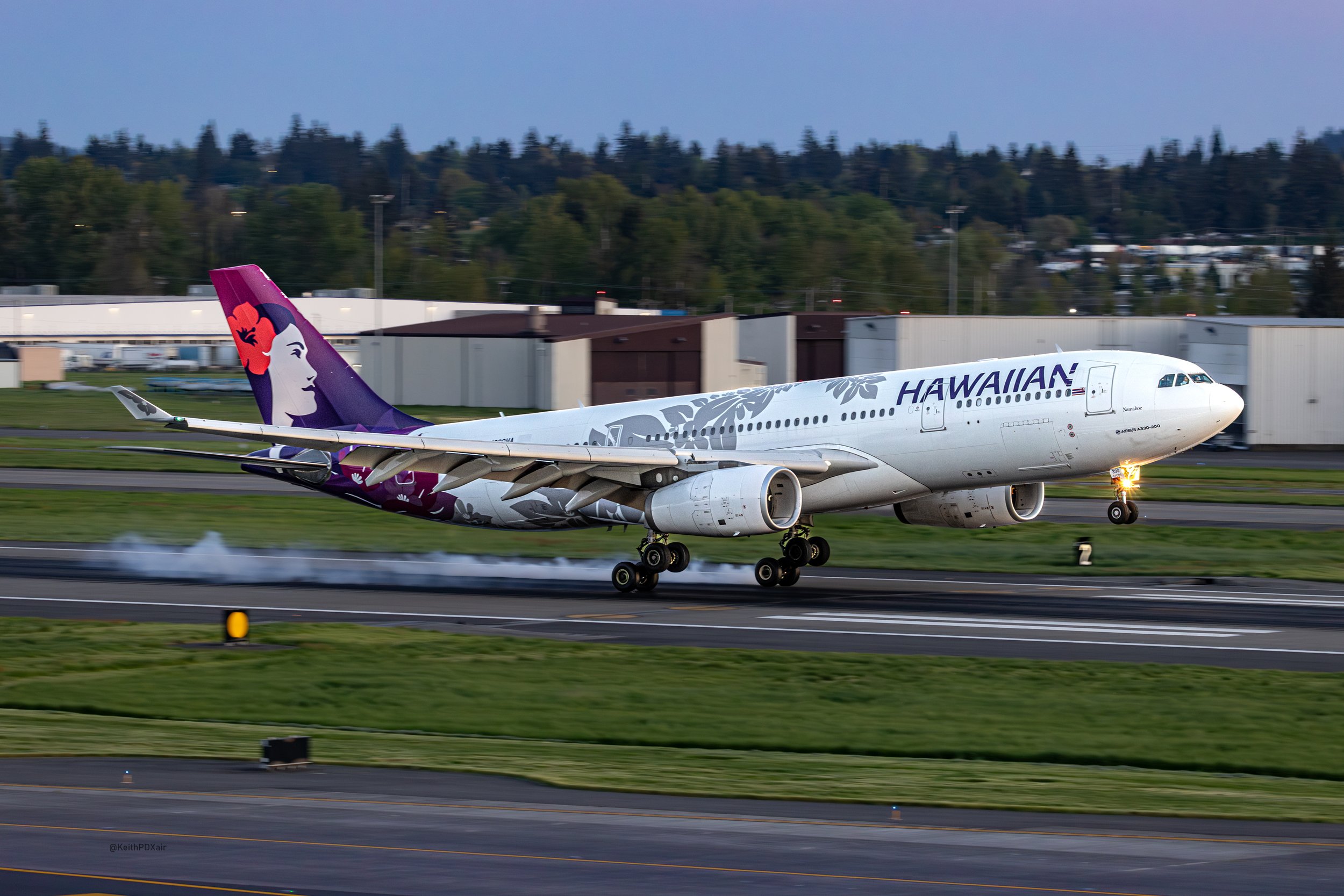 Hawaiian-7.jpg