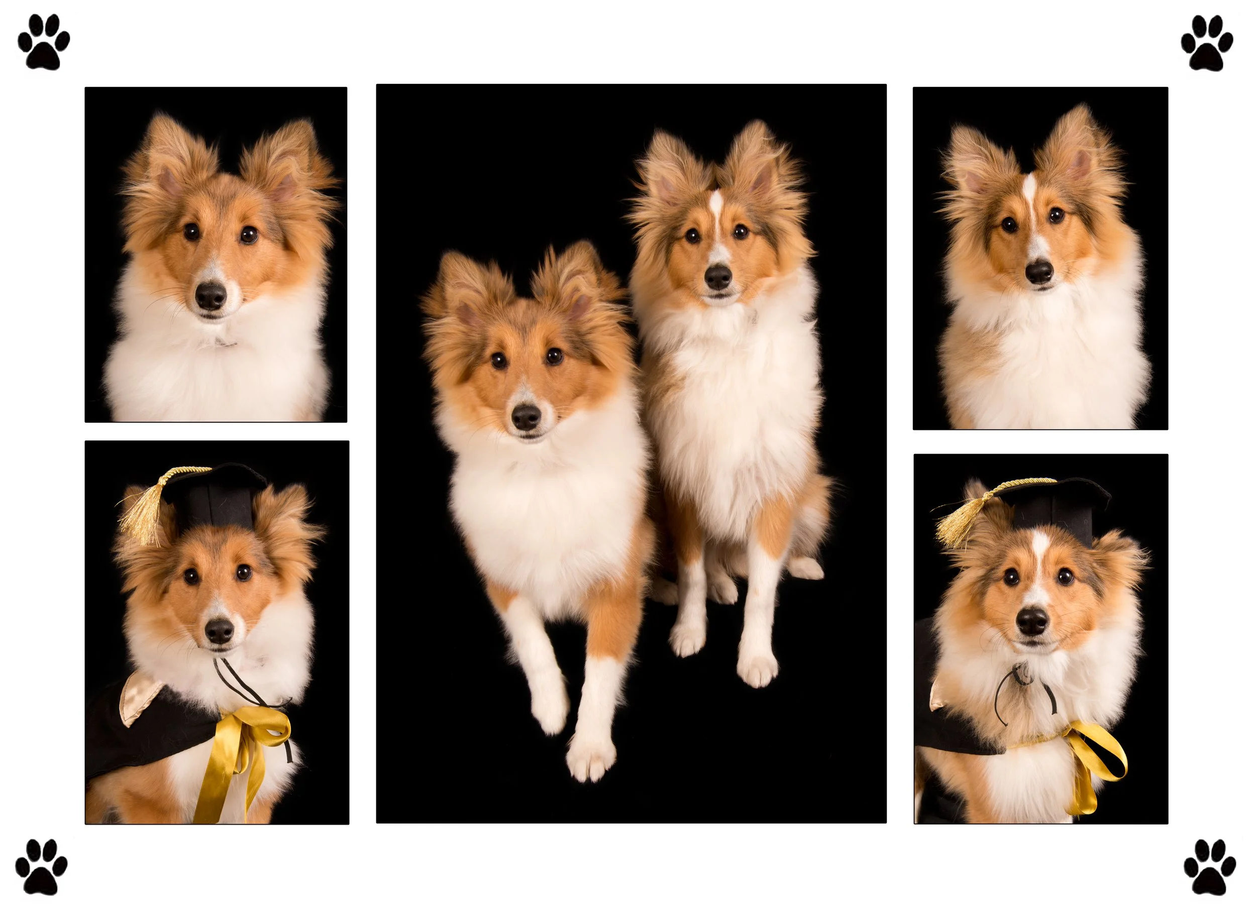 16x22 collage canvas c.jpg