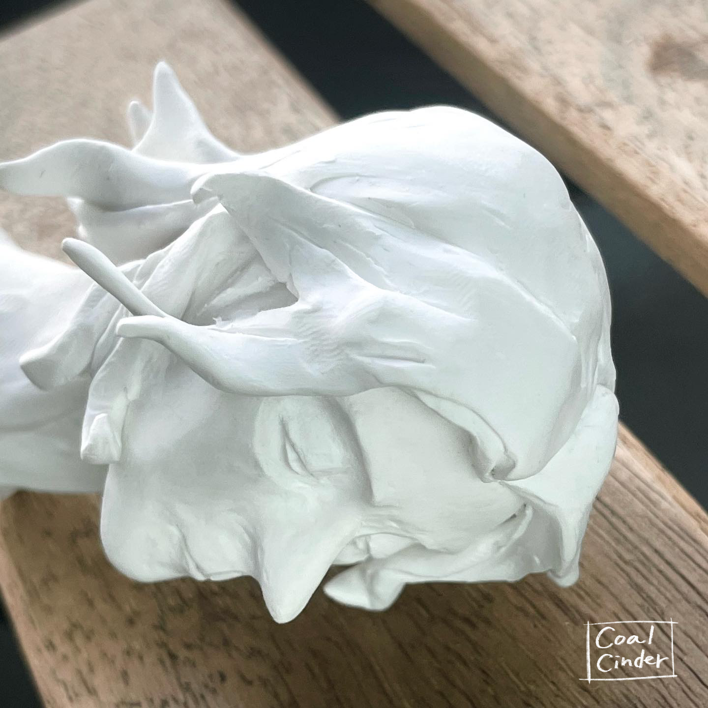 Untitled_Artwork 3.png