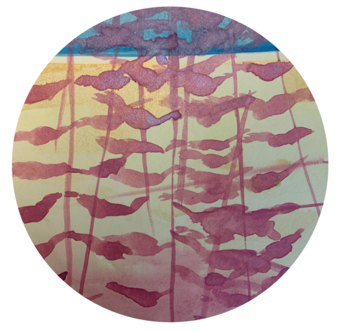 Wisdom Watercolour - Art Making that Flows and Moves