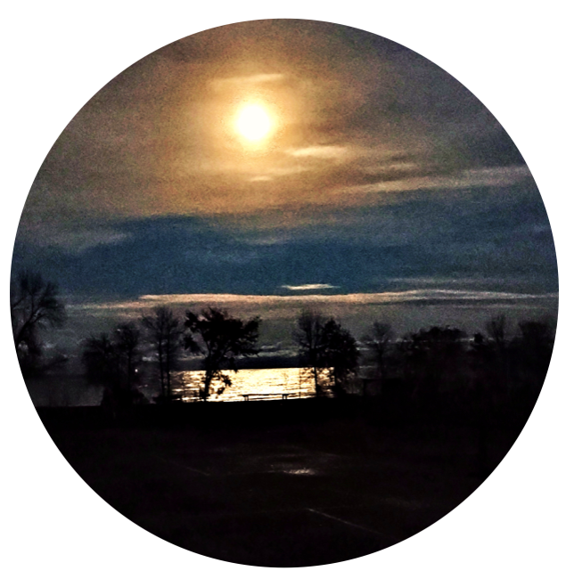 Plants and Elementals - Online Workshop Series