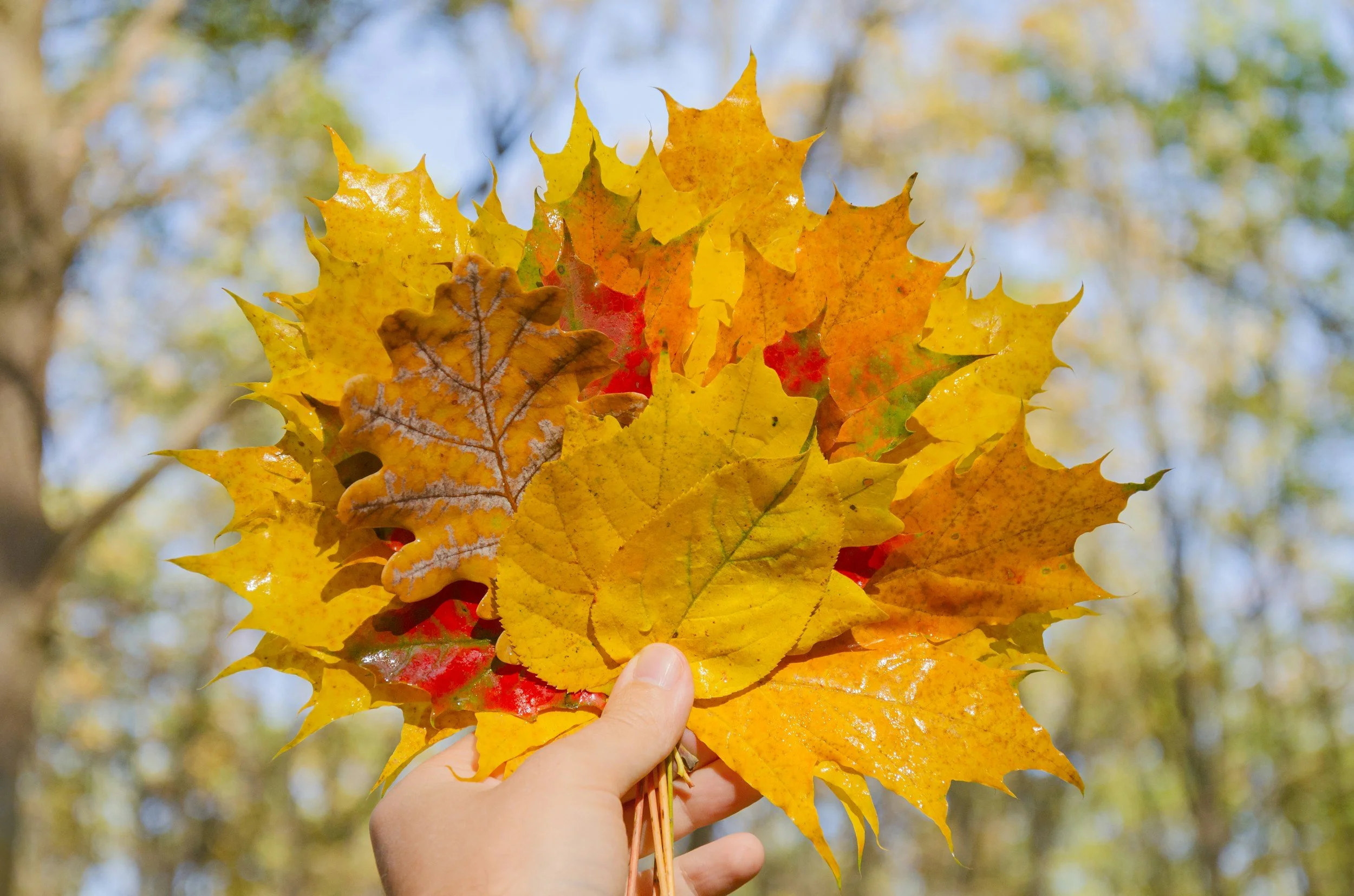 LADIES FALL GATHERING